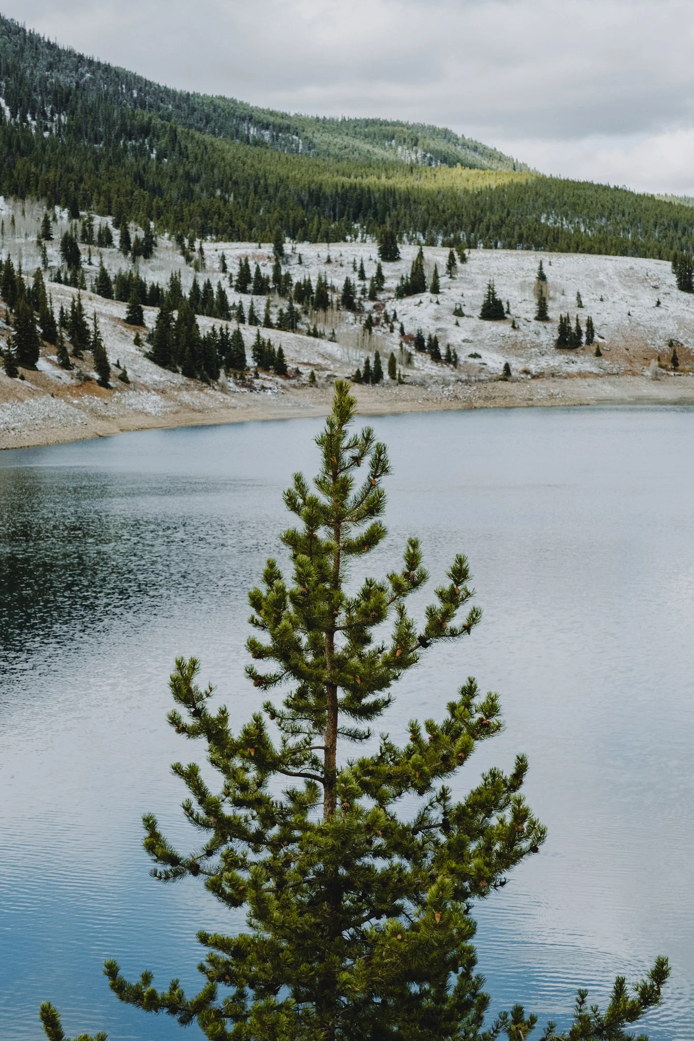 DSCF5307.JPG