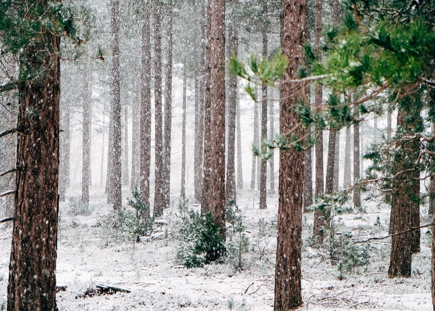 Rain, Snow &amp; Ice: 4 Tips For Preventing an Insurance Claim This Winter