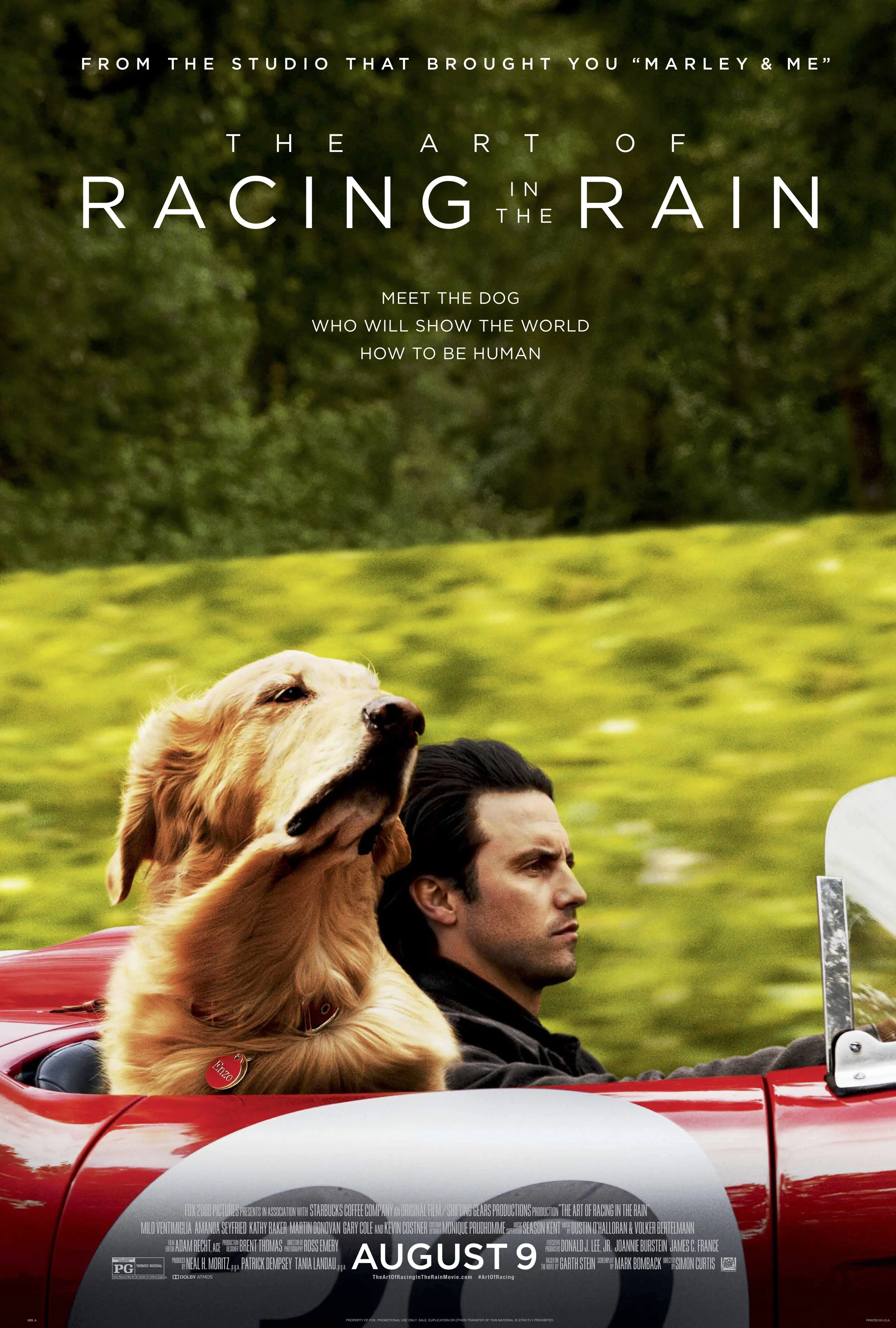 A_RACING_IN_THE_RAIN_ONE_SHEET_compressed.jpg
