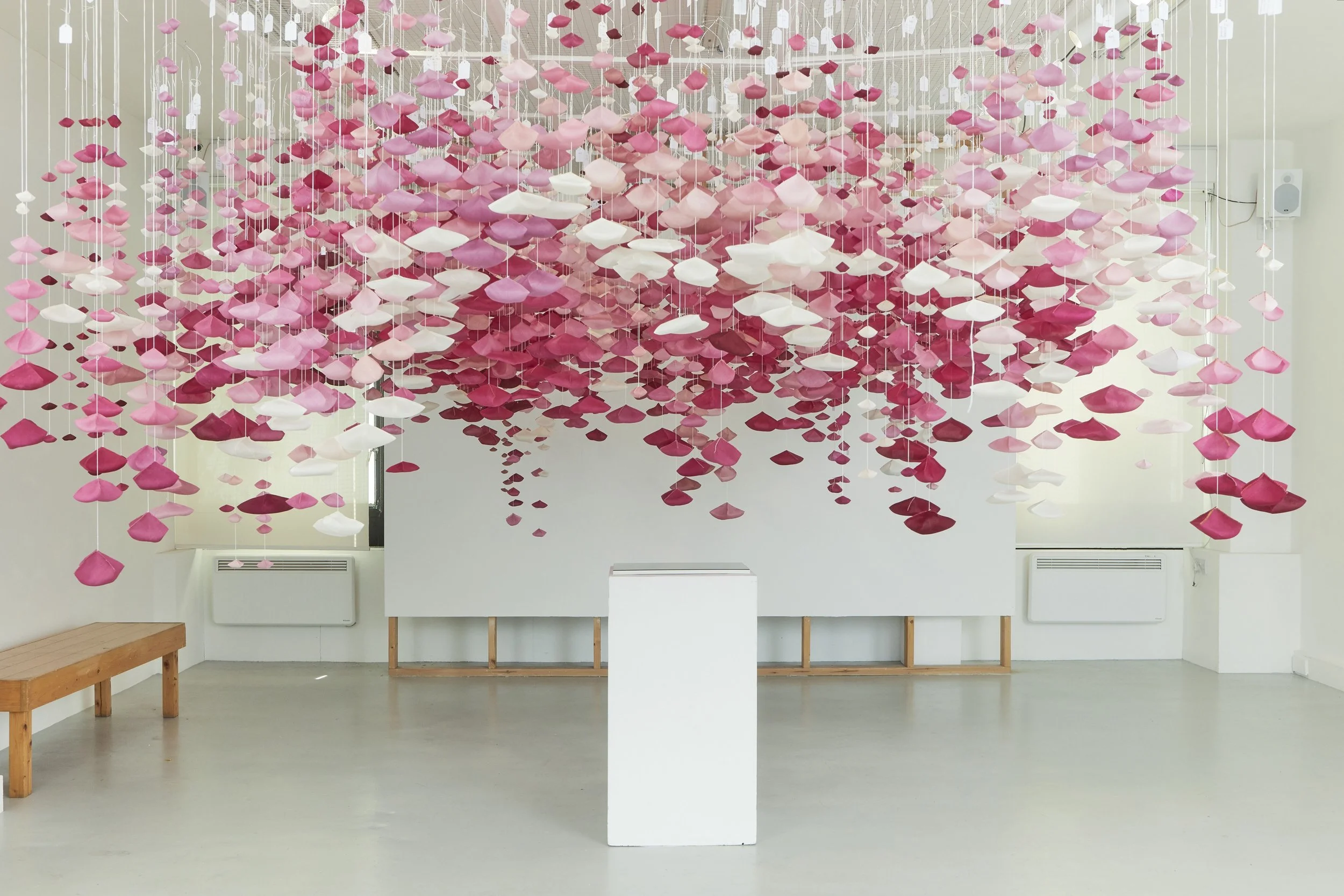 SC_PHOENIX GALLERY_014.jpg