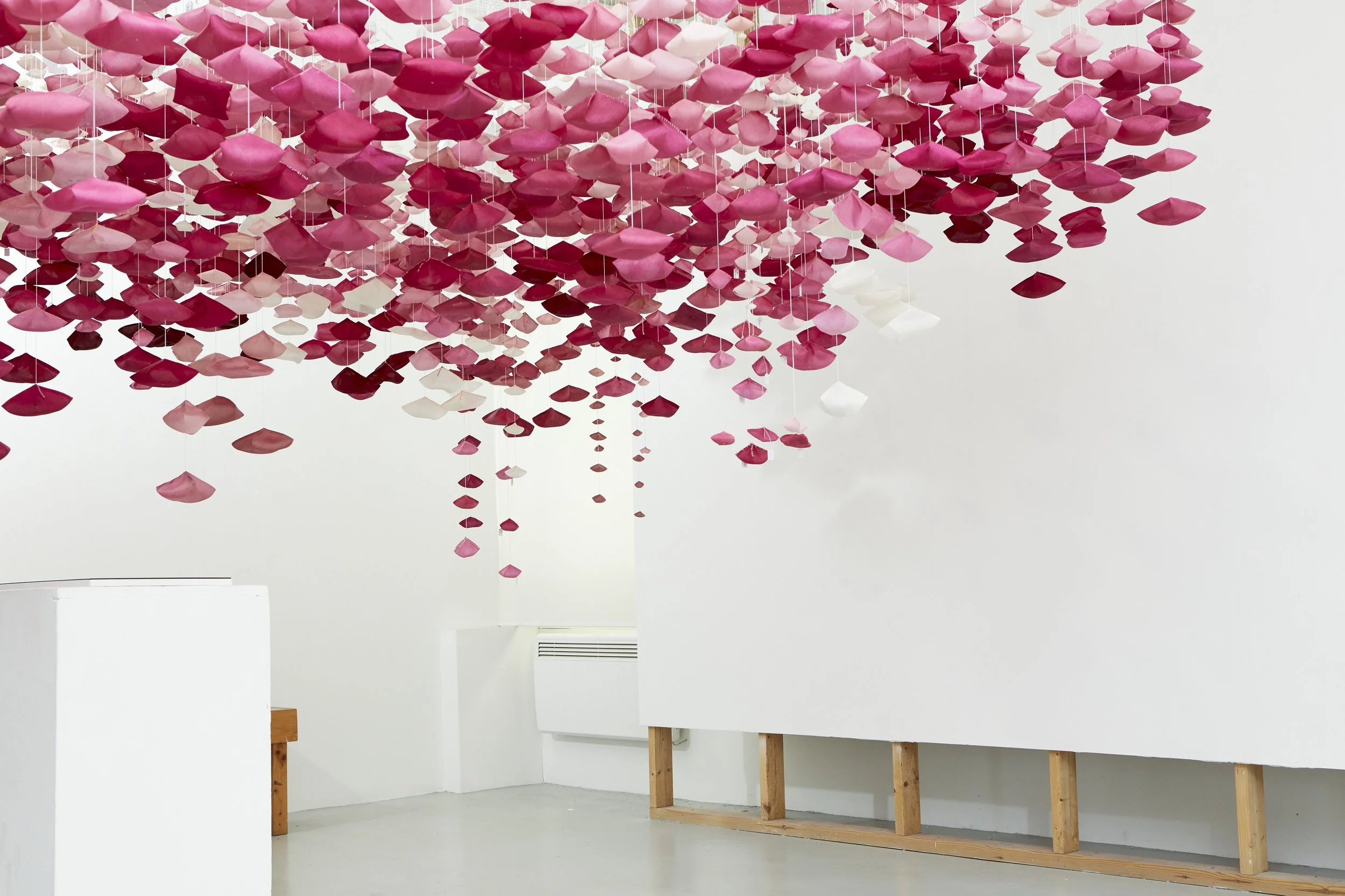 SC_PHOENIX GALLERY_058.jpg