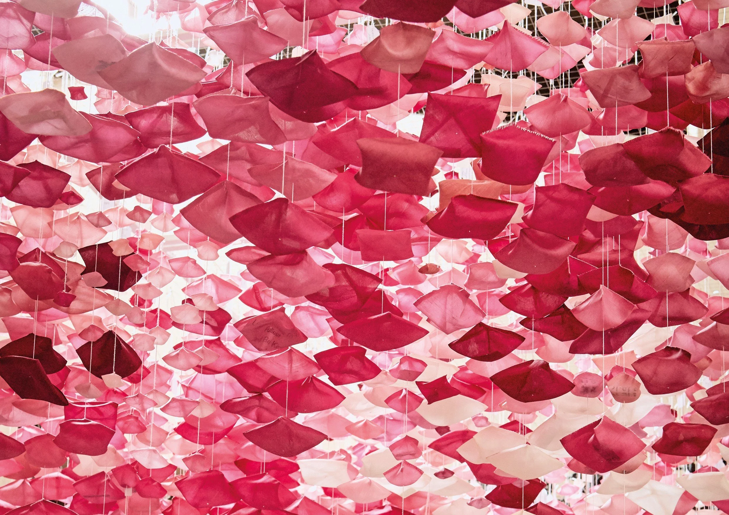 CHERRY BLOSSOM COVER SEPERTATES2 (002).jpg