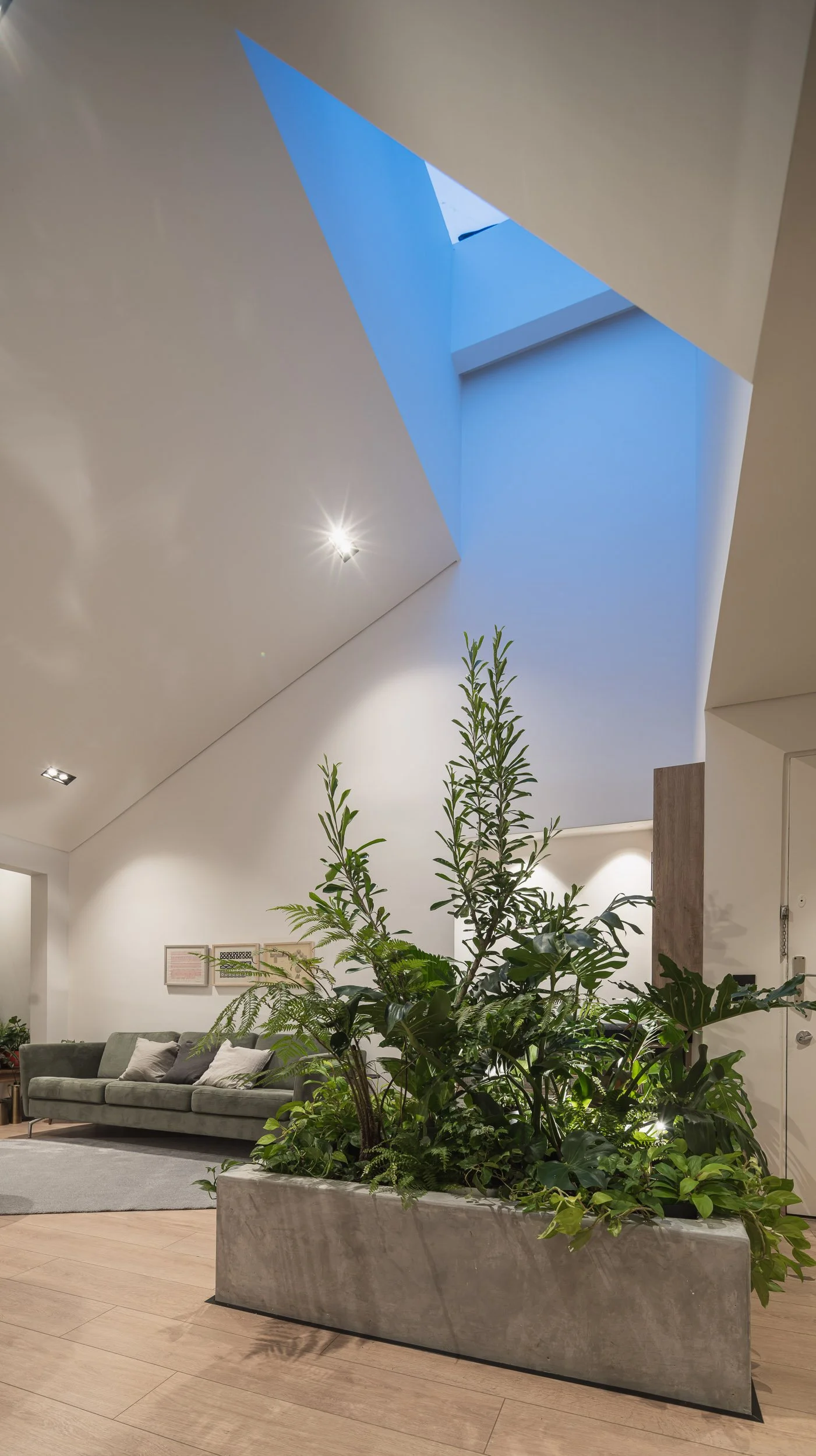 Diseño interior moderno con una jardinera en concreto a la vista y un tragaluz diagonal.