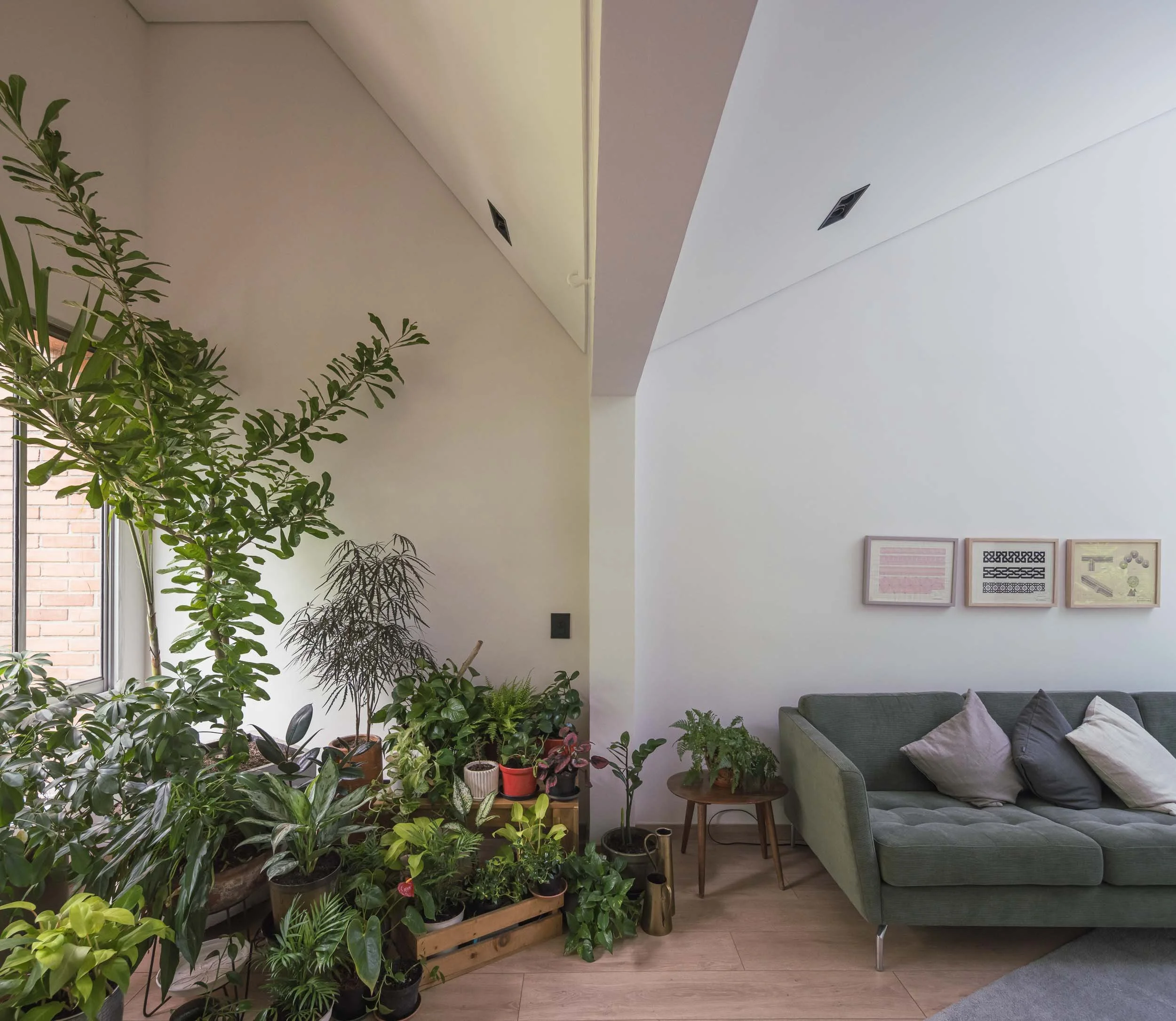  Sala moderna con ventanal y techos a diferentes alturas y jardín interior. Guadalajara 602, apartamento reformado en Medellín por TOLEDO Estudio de Arquitectura.