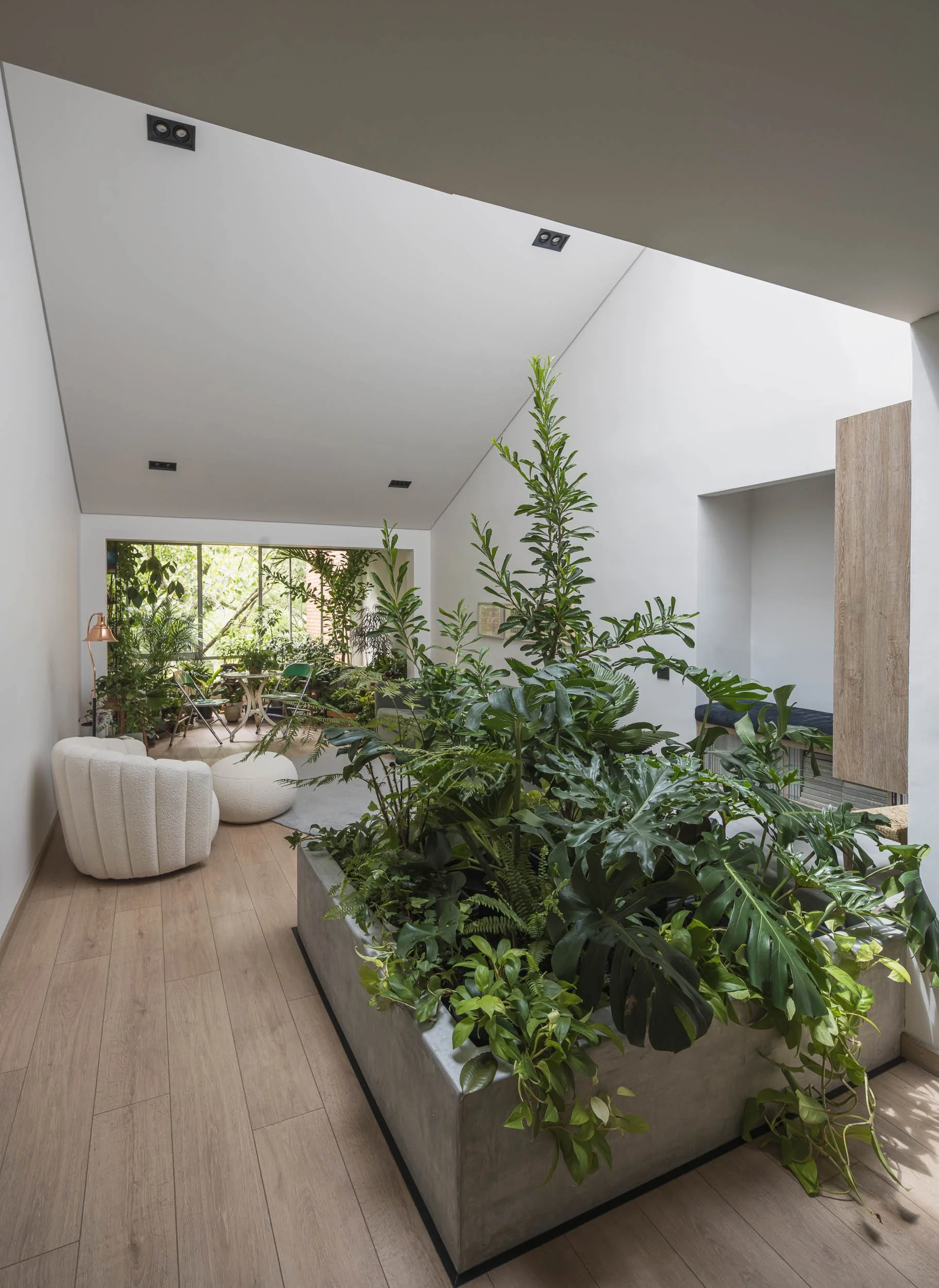 Jardinera interior en concreto y sala iluminada naturalmente con un ventanal con plantas verdes. Salón del apartamento Guadalajara 602, reformado por TOLEDO Estudio de Arquitectura en Medellín.