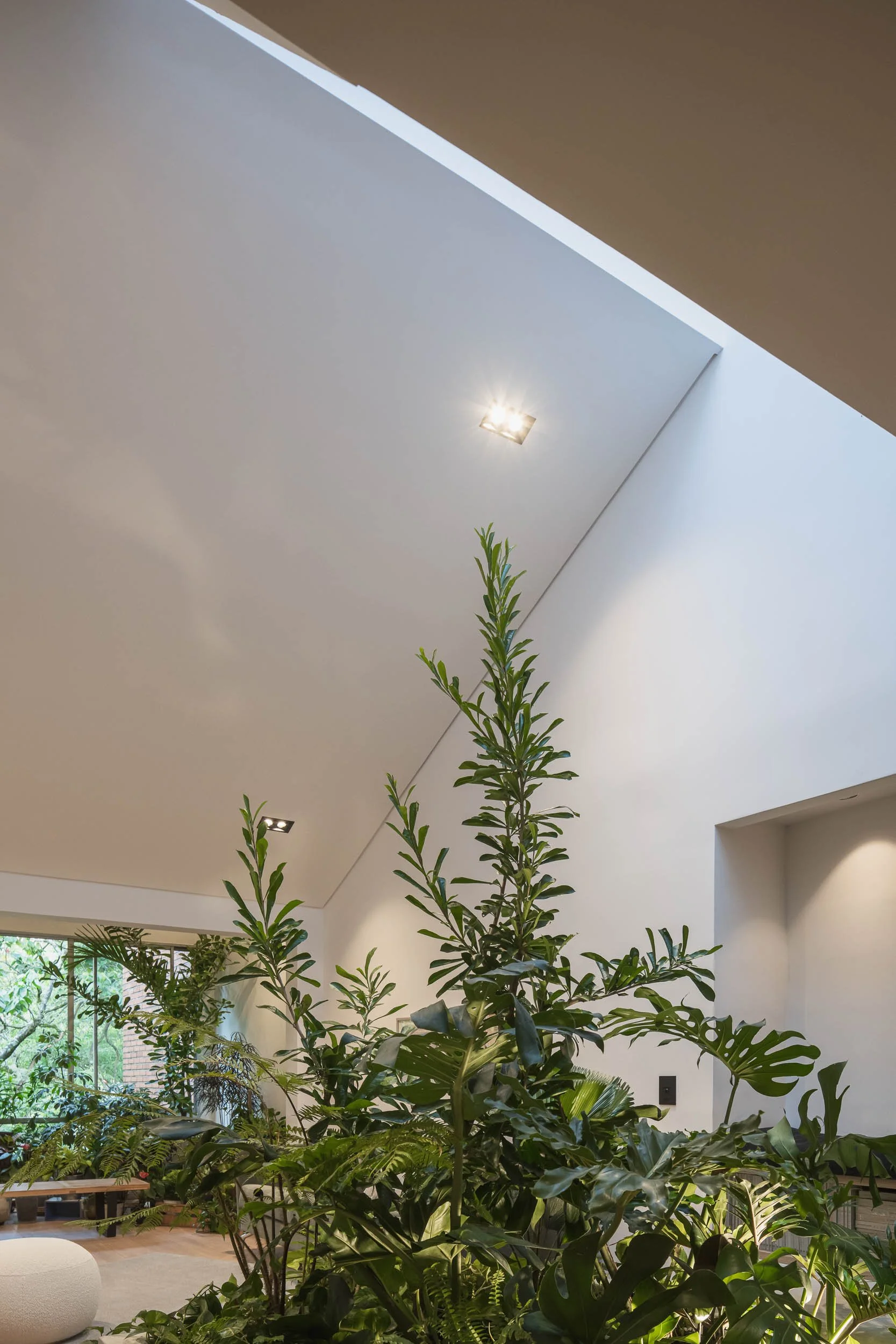 Interior moderno de Guadalajara 602, un apartamento reformado por TOLEDO Estudio de Arquitectura con jardines interiores en Medellín.