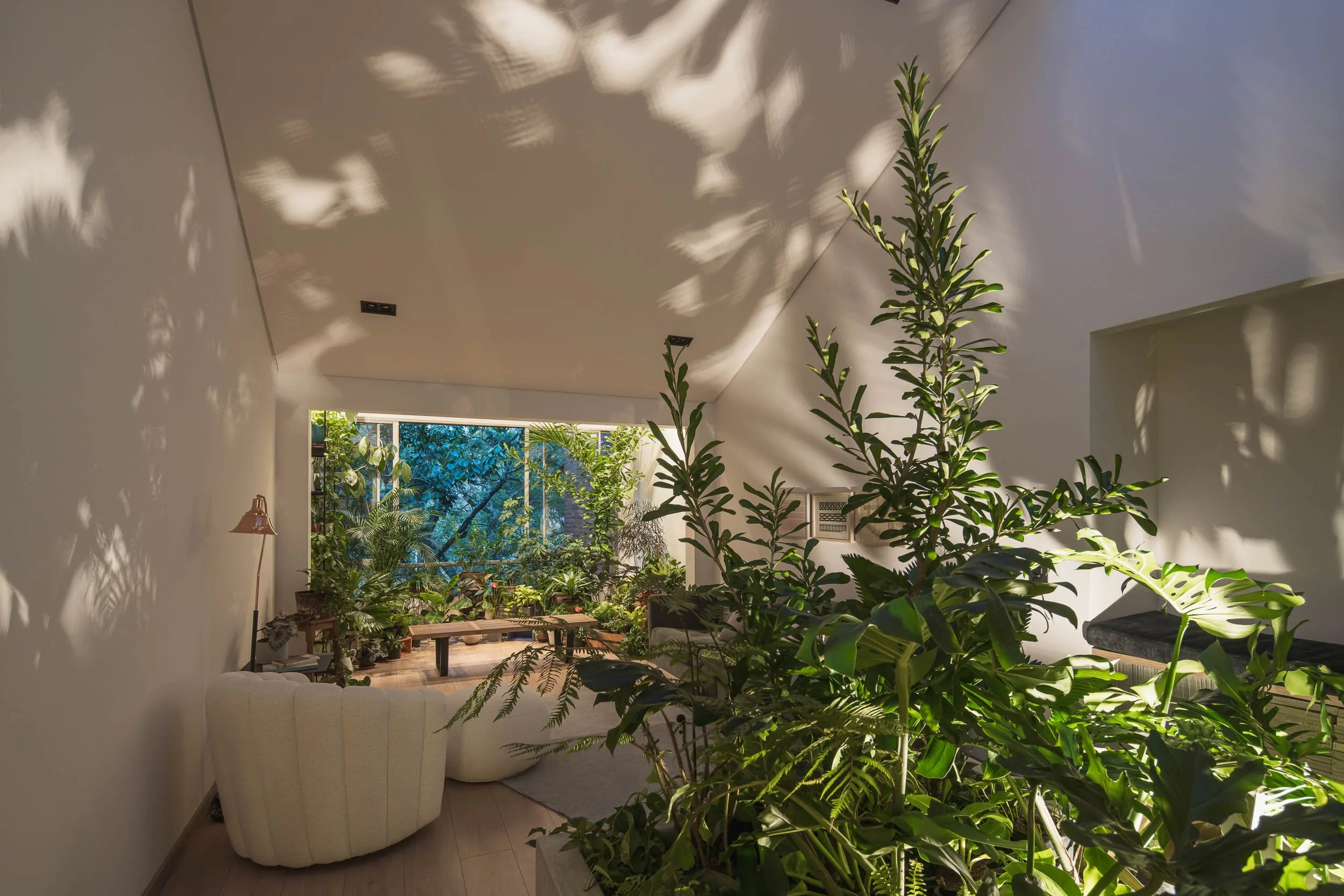 Interior de una sala con muchas plantas verdes y una gran ventana que deja entrar luz natural, muebles blancos y una iluminación suave. Guadalajara 602, reforma en Medellín por TOLEDO Estudio de Arquitecrura.