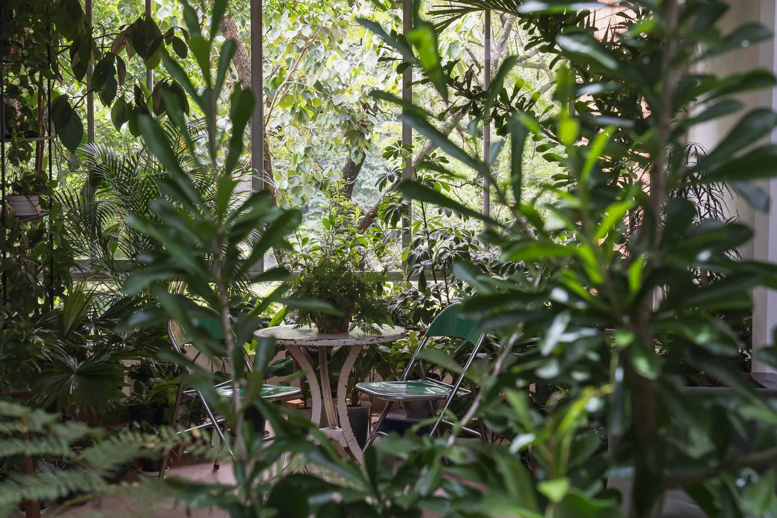 Jardines interiores diseñados por TOLEDO Estudio de Arquitectura en la reforma hecha en un apartamento en Medellín, Colombia.