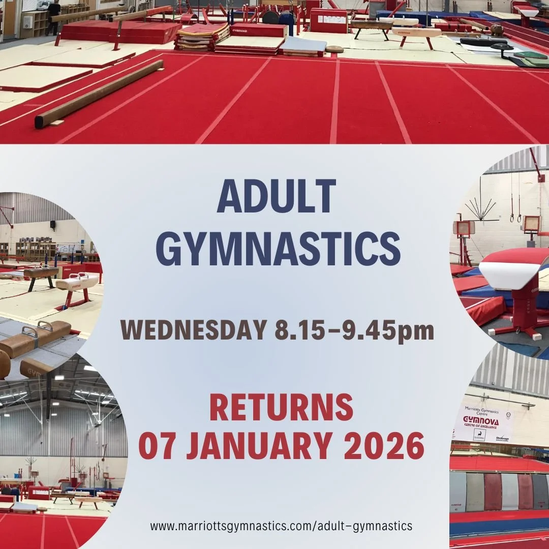 Adult Gymnastics 