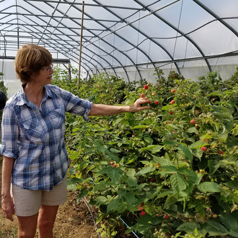 NY-Berry-Growers-Dale-Ila-Riggs-Farmers-Market-interview.jpg