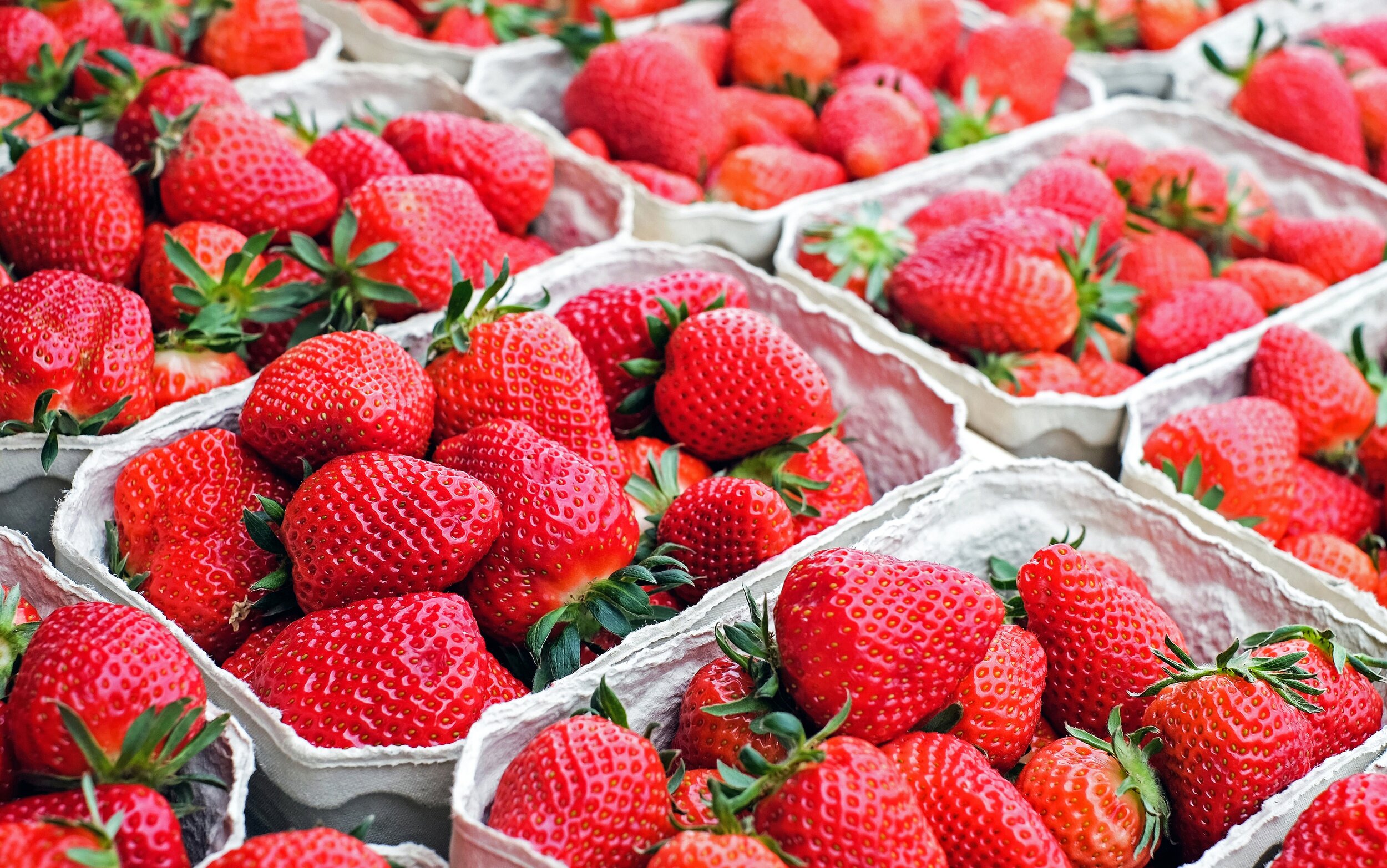 New York State Berry Industry Competitive Analysis