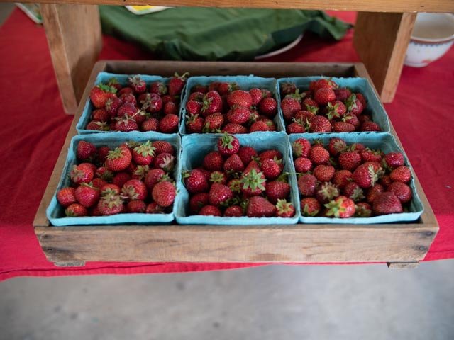 Pints of strawberries lined up in a wooden crate