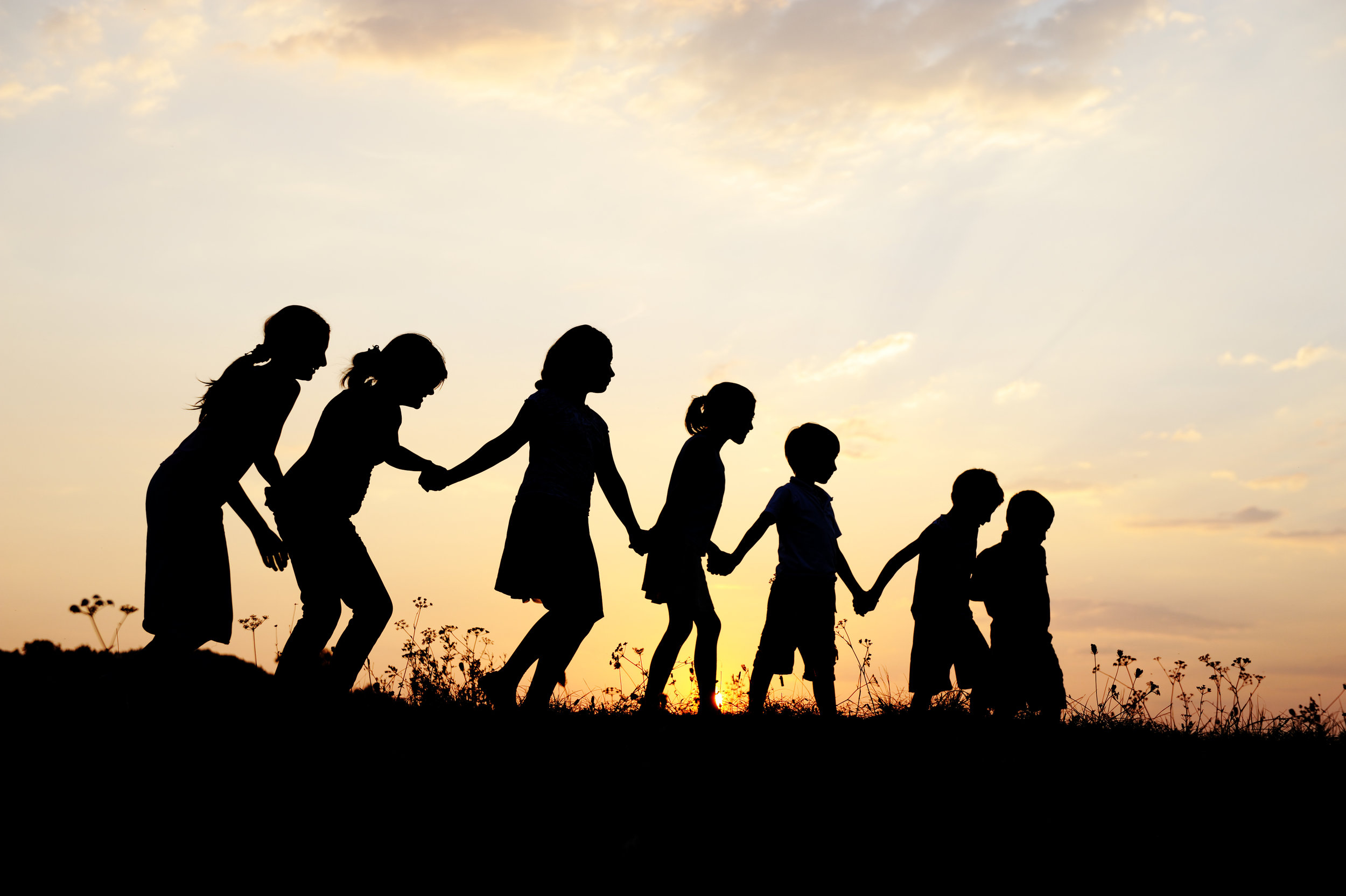 silhouette-group-of-happy-children-playing-on-meadow-sunset-summertime_rYlZLFTHj.jpg