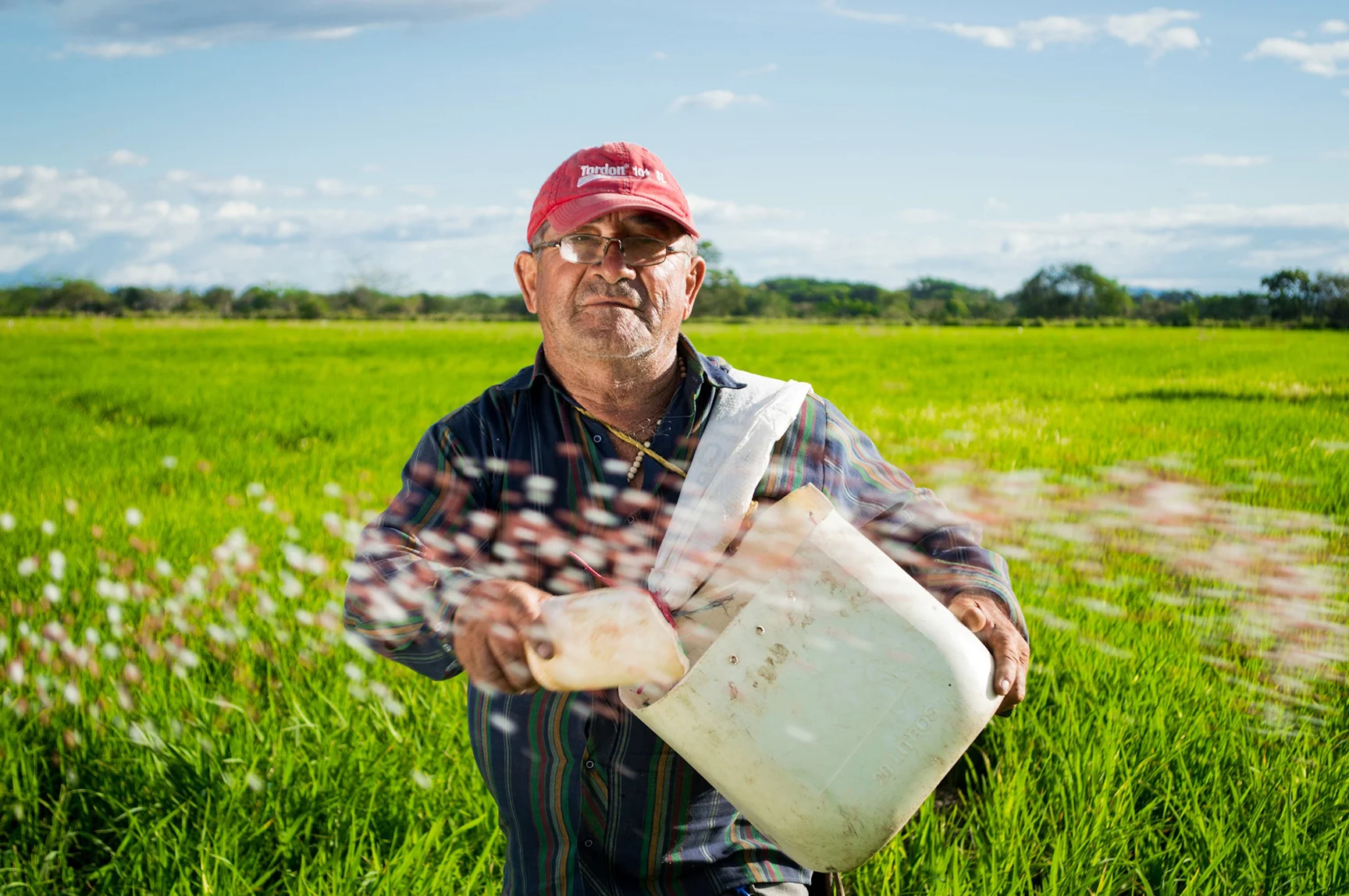 Agriculture.jpg