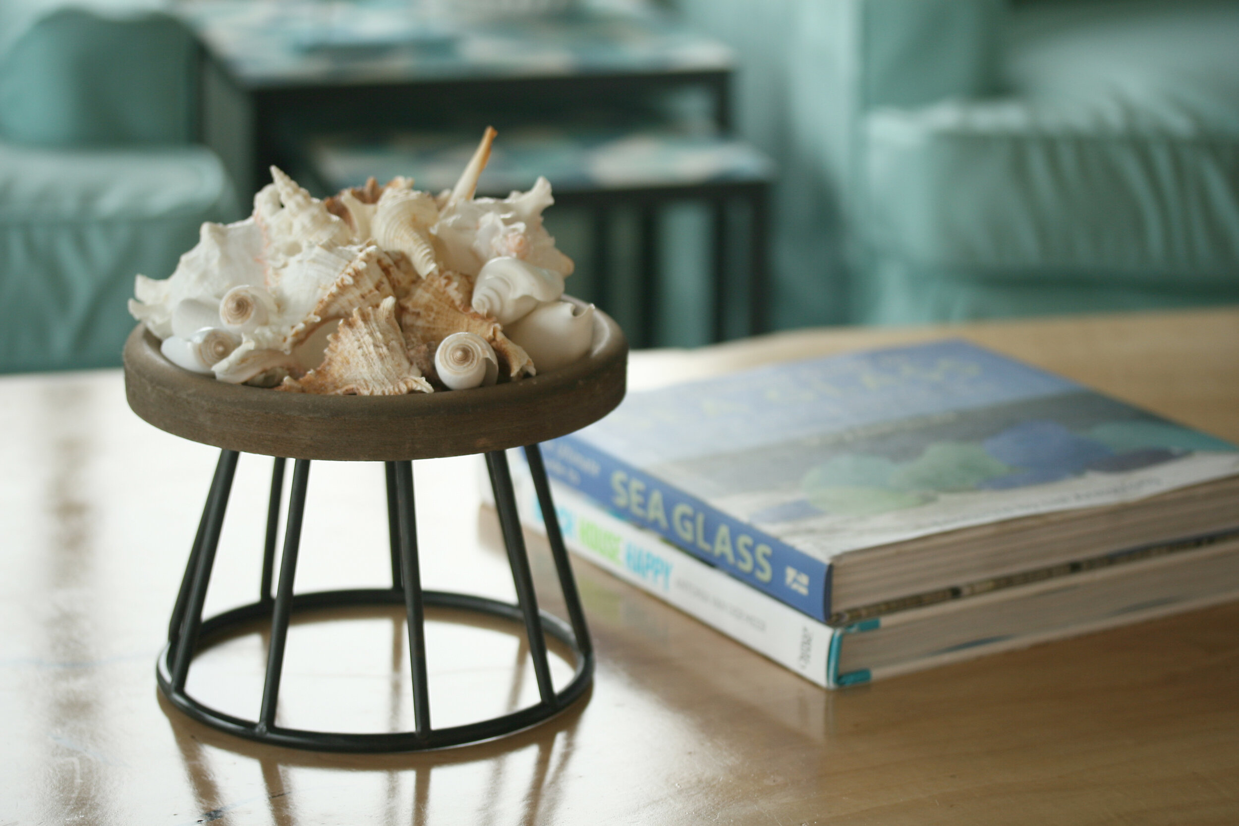 shells on table detail.jpg