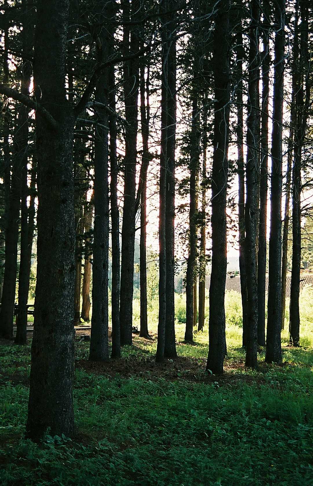 photographer lifestyle wild west 18.Jpg