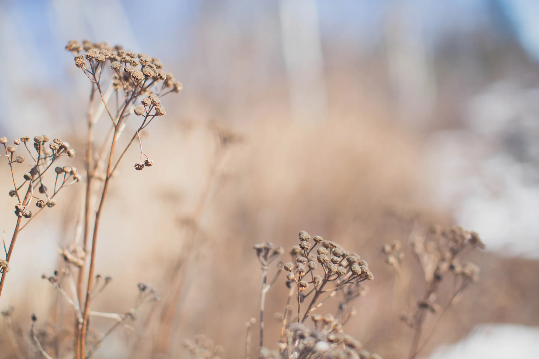 mpls mn lifestyle photographer lake superior 06.jpg