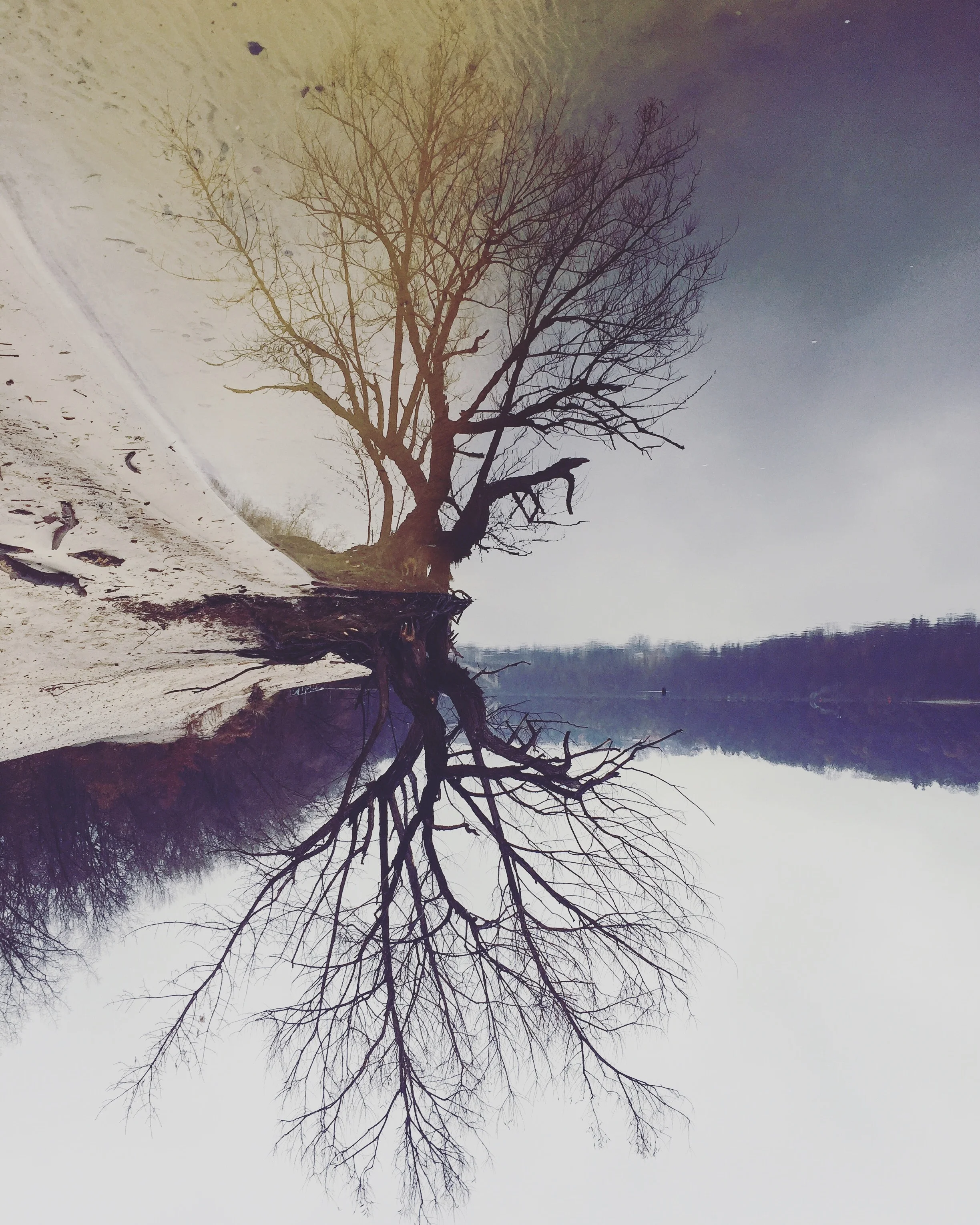 The Upside Down.jpeg