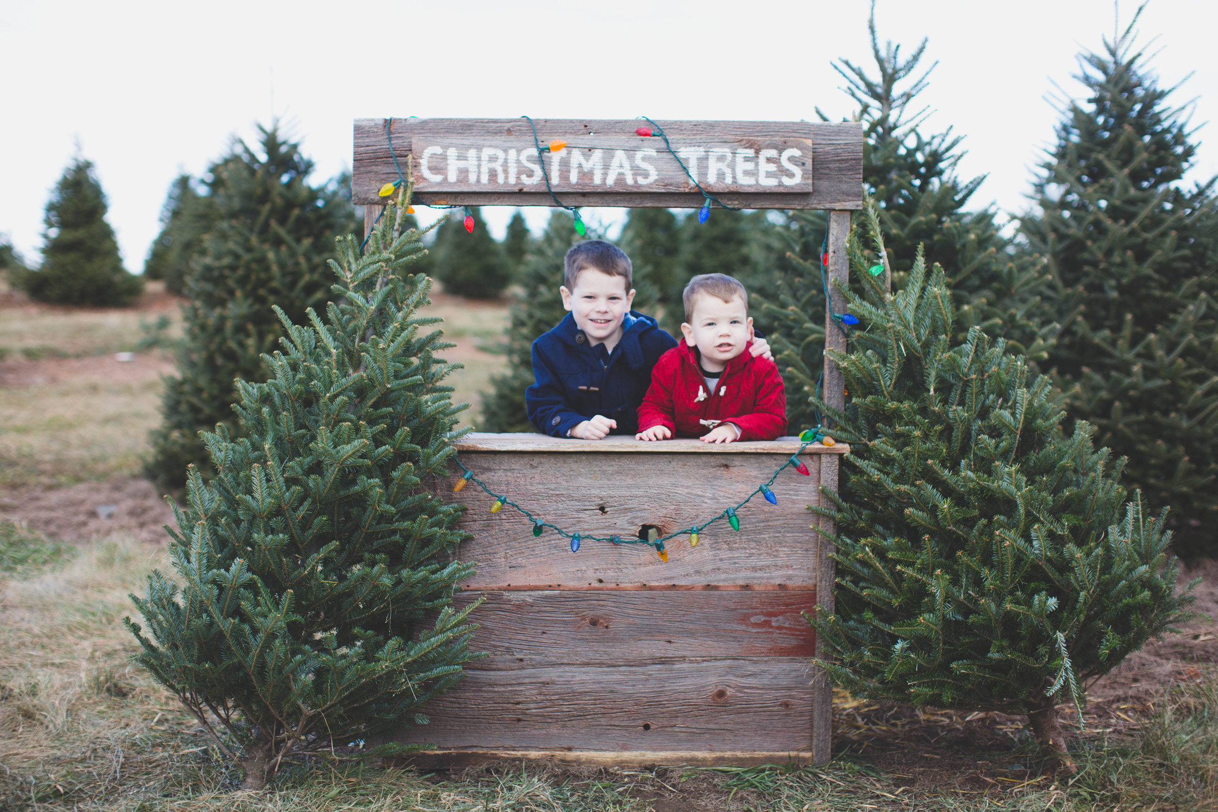 midwest family photographer 12.jpg