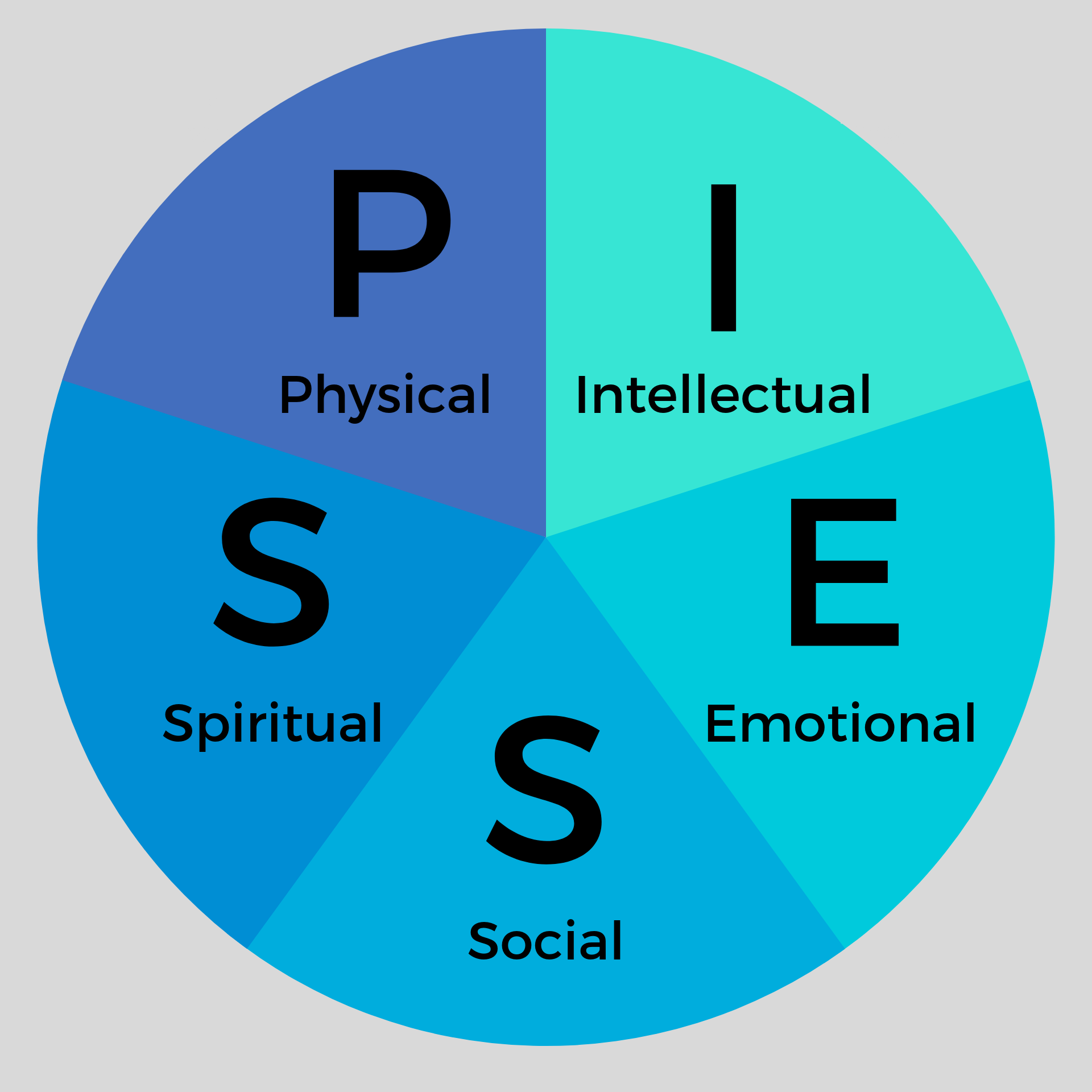 Piess chart.png