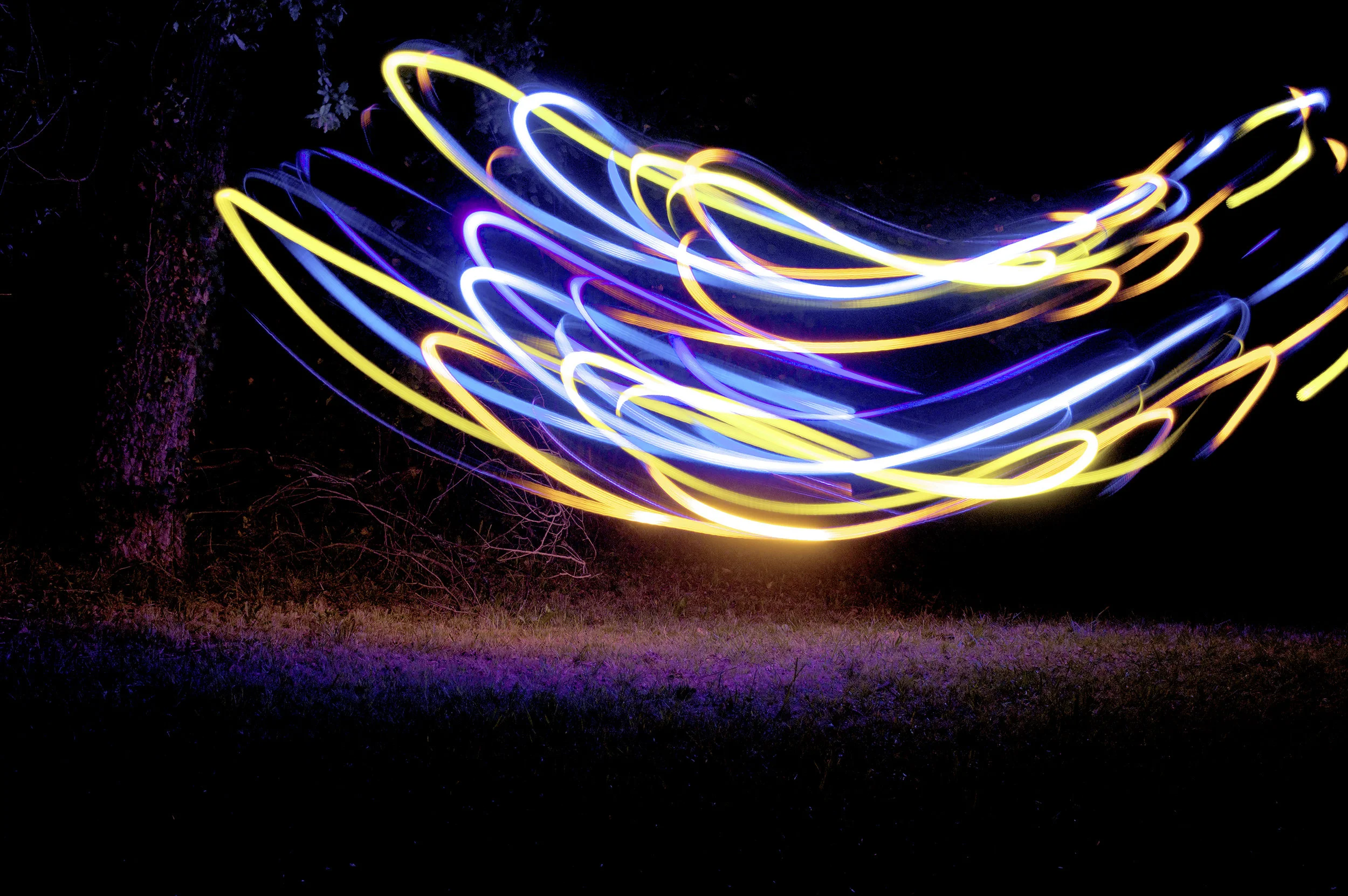 Pheonix.jpg