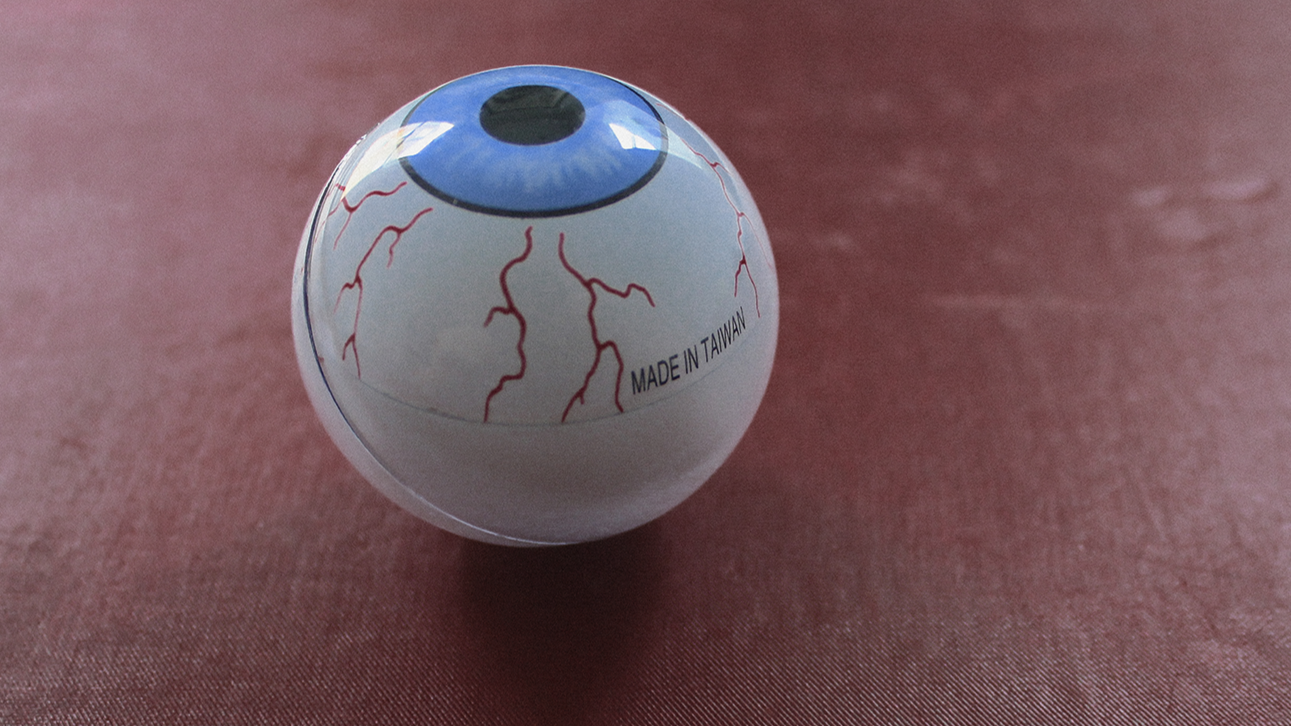 Phil_Gomm_Incertae_Sedis_Red's_Kingdom_Eyeball_Blog.png