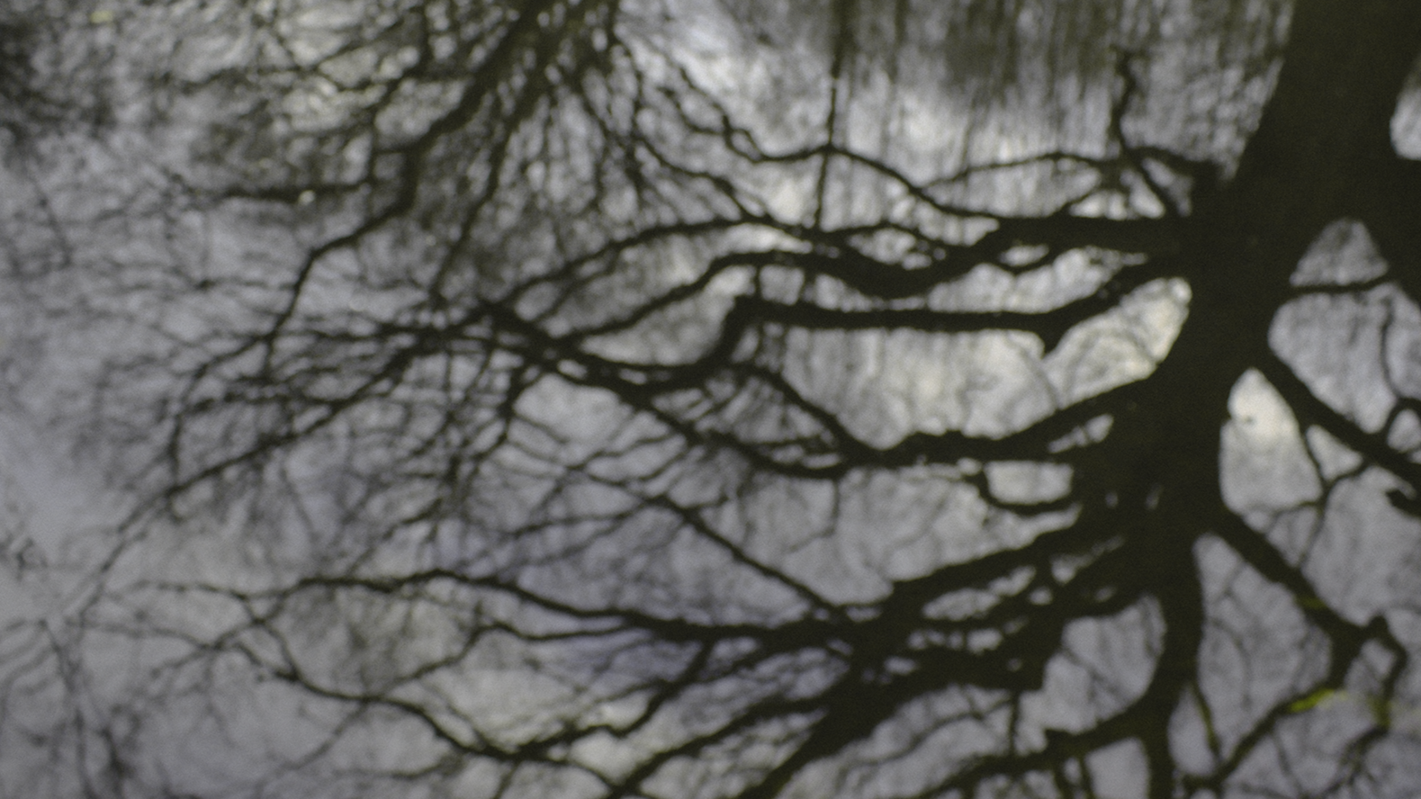 Phil_Gomm_The_Scrying_Mirror_Reds_Kingdom_Blog_01.png