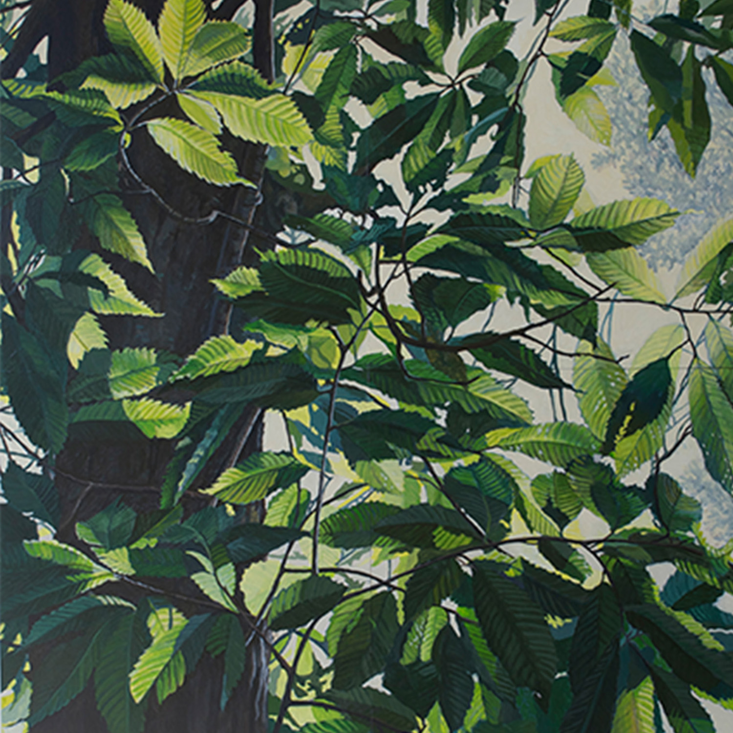 American Chestnut #1: Oil on panel 32" x32" 2015