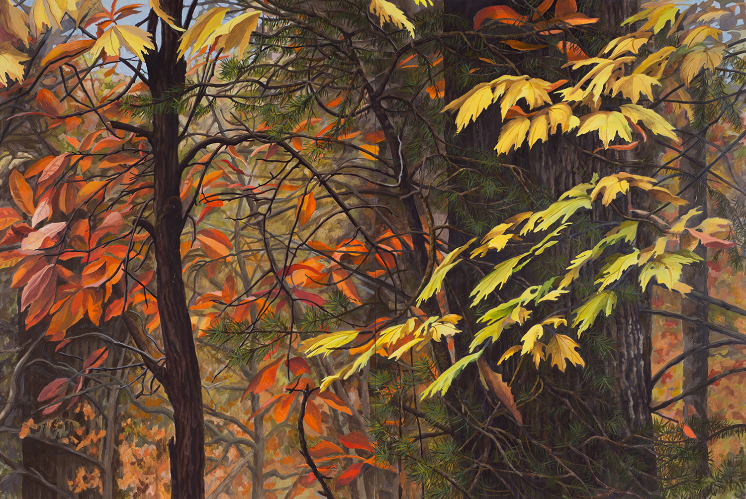 North Carolina Woods #1: Oil on panel 42” x 60” 2014 SOLD