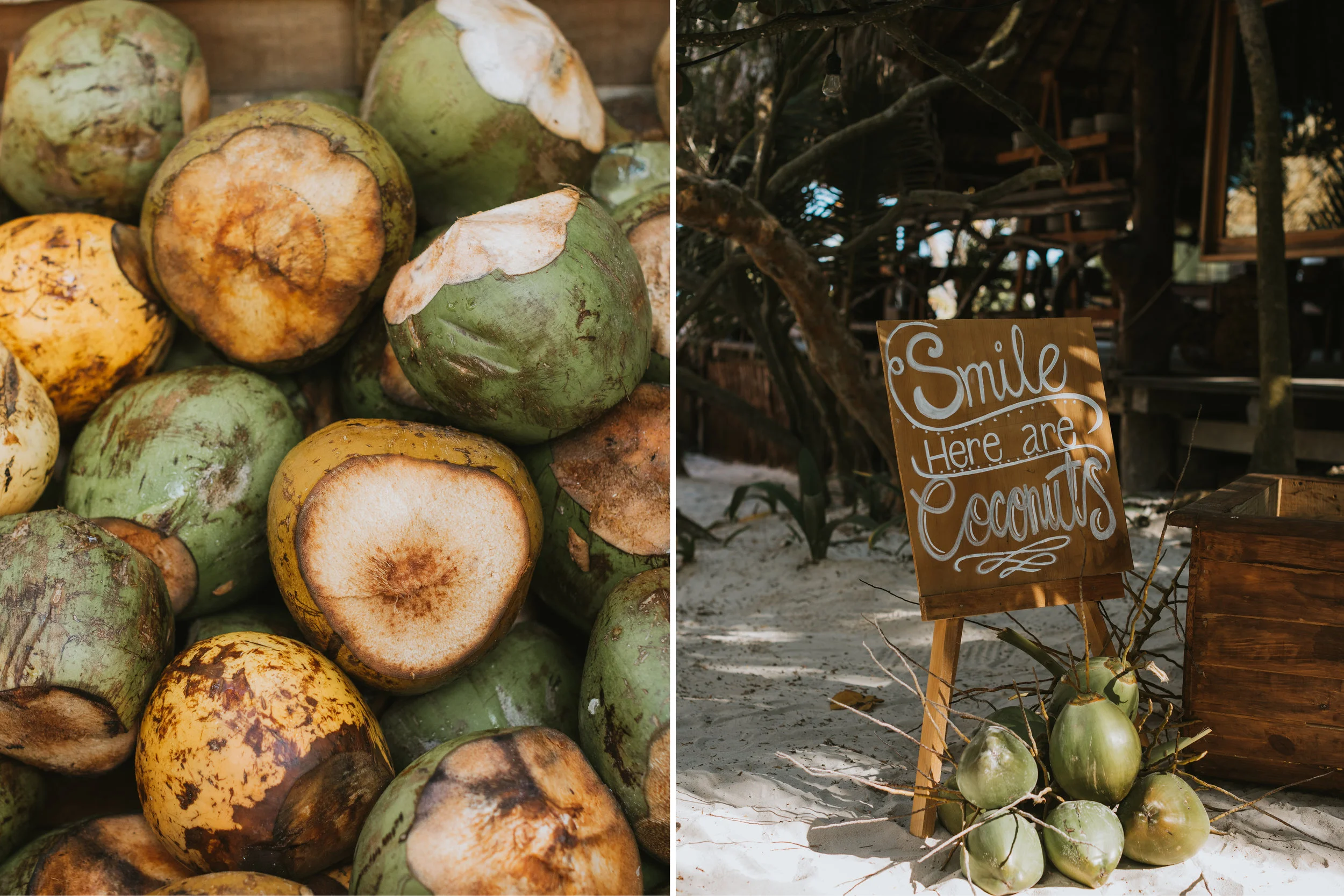 Blog Templates_Chelsea&James ESession48.jpg