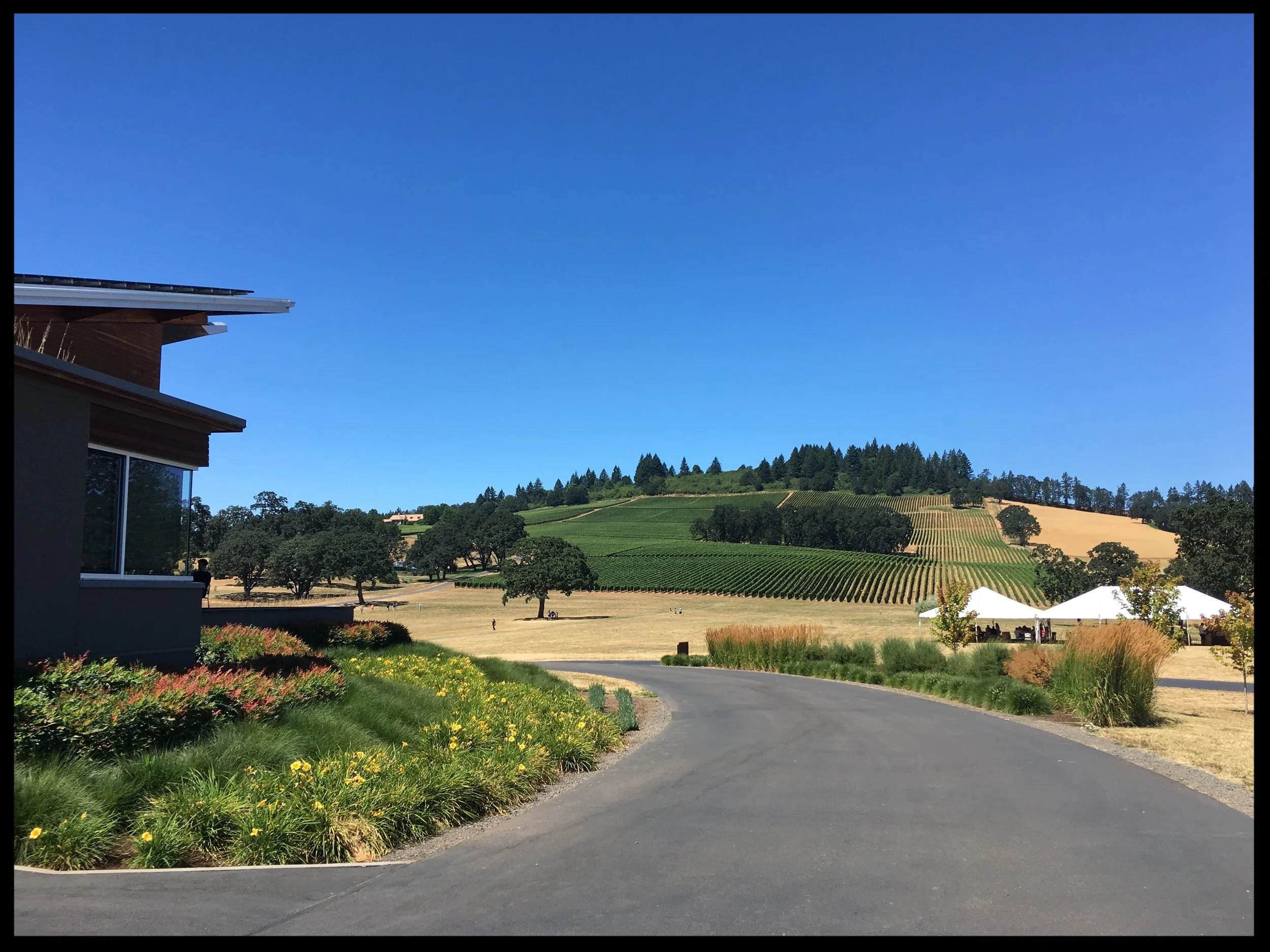 Weekend Wine Adventure