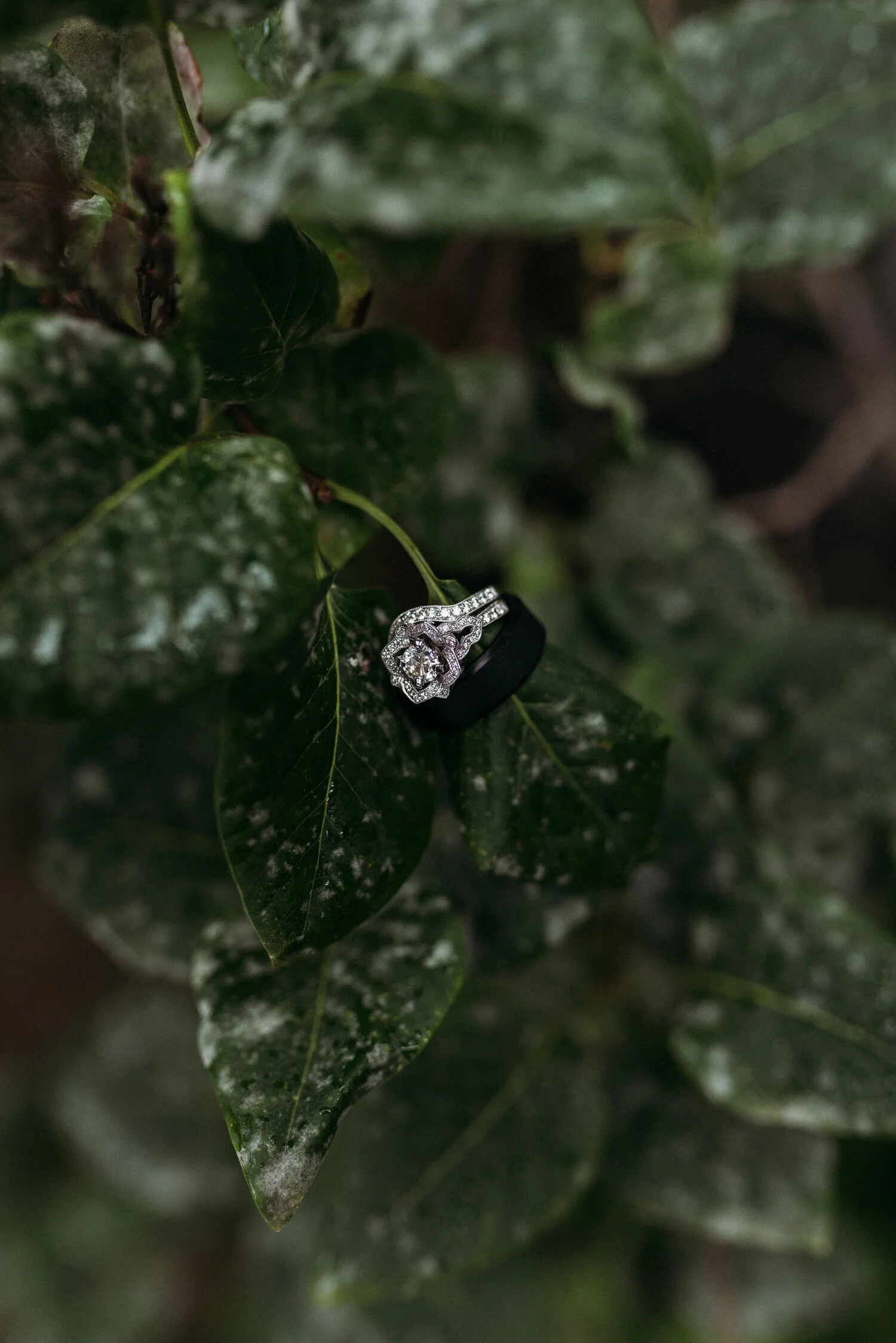weddings_travelon_photography_023.jpg