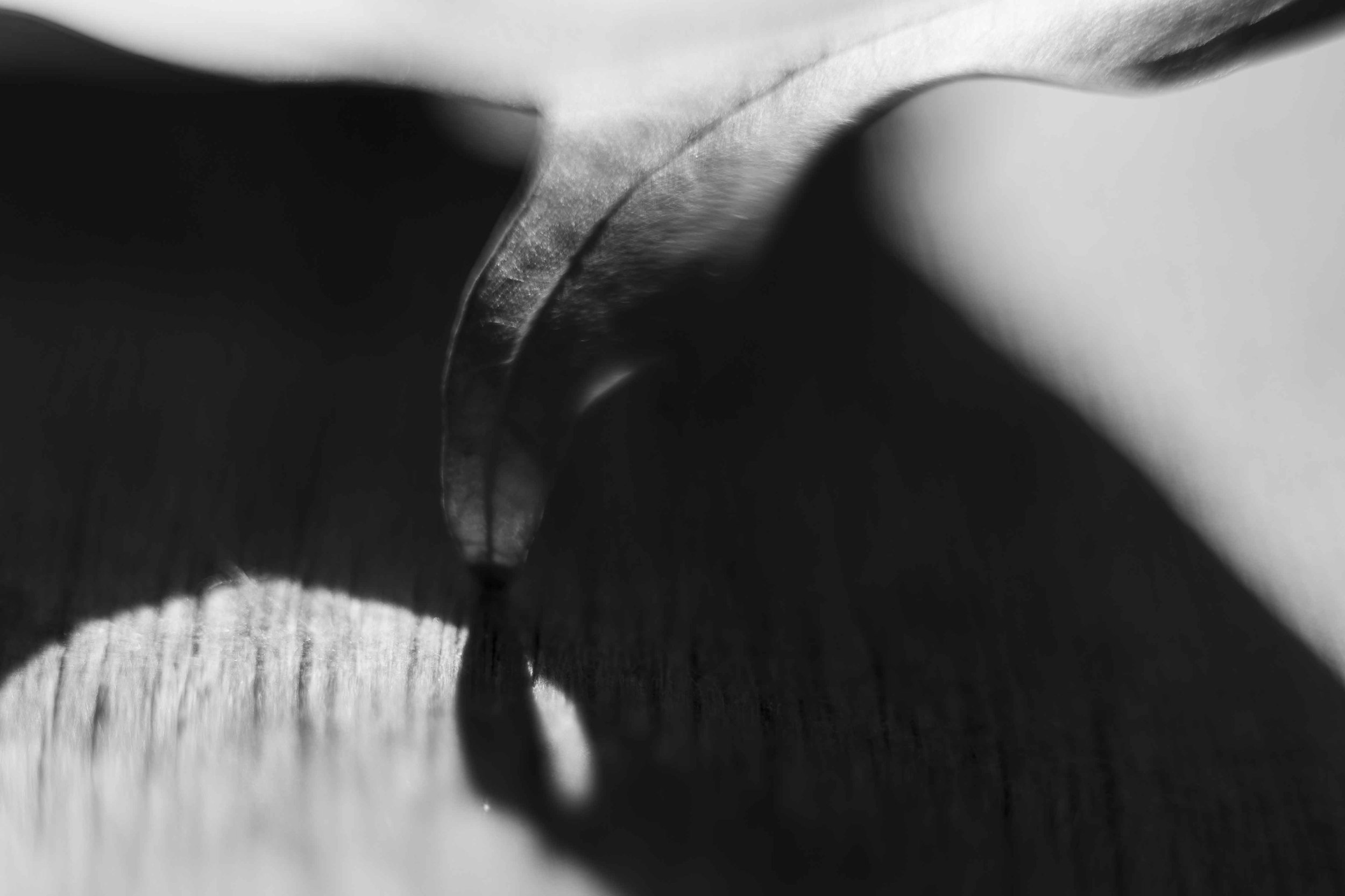 Knoll_J_EP_F6_-1.jpg