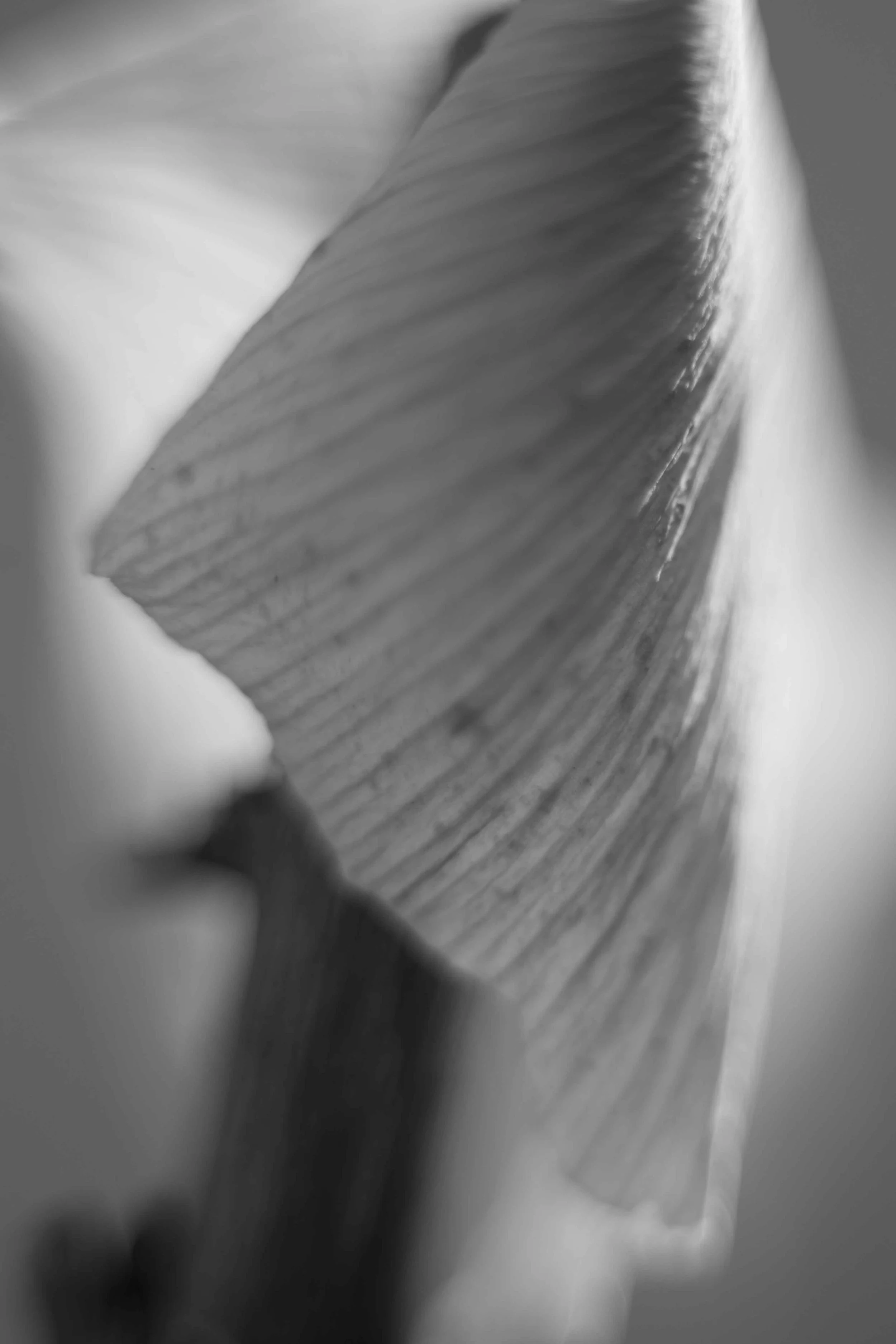 Knoll_J_EP_F6_-2.jpg
