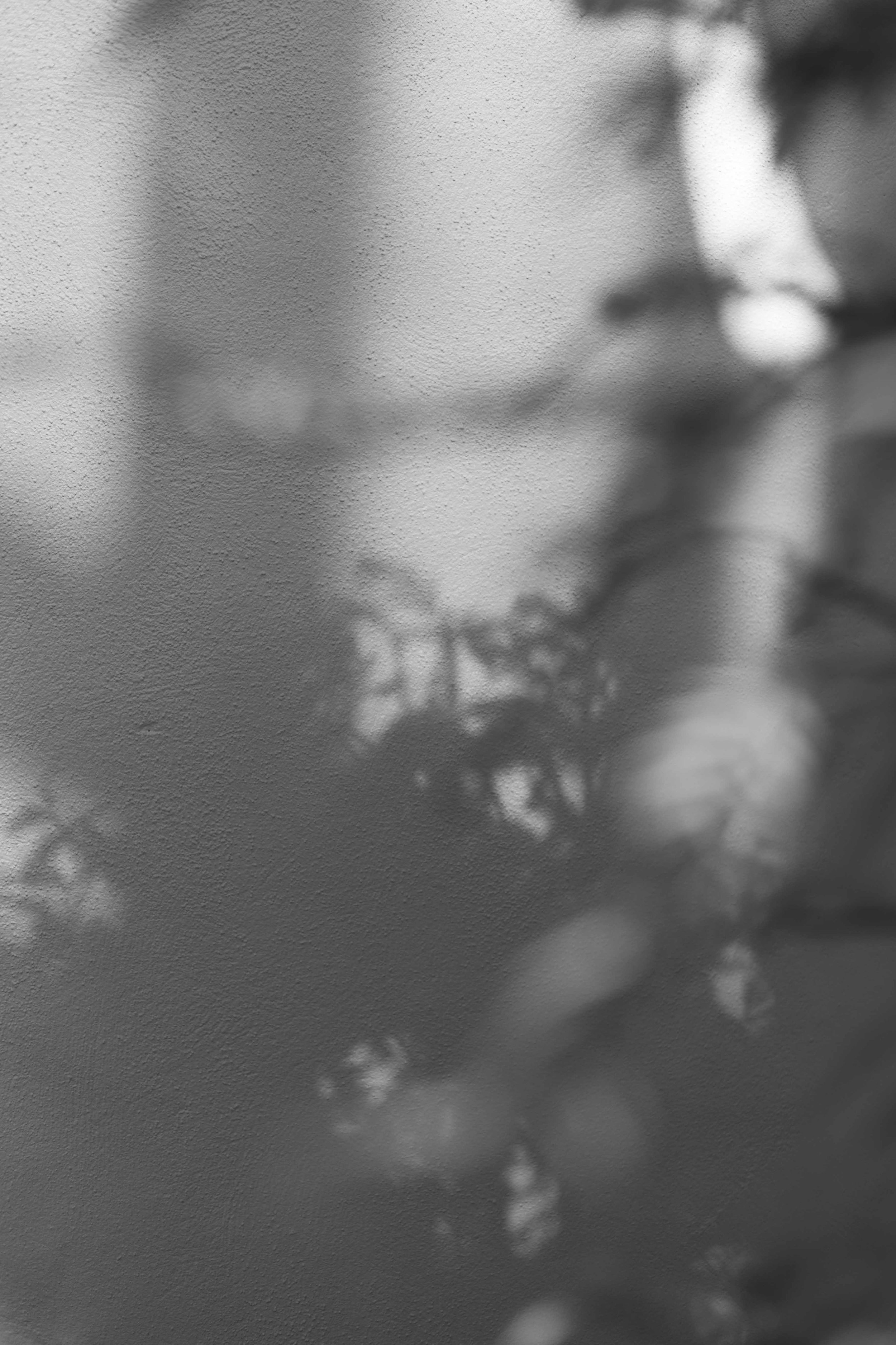 Knoll_J_EP_F6_-8.jpg