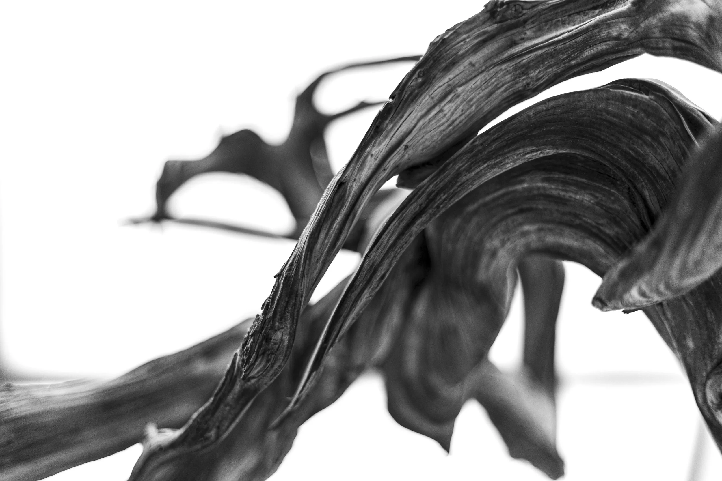 Knoll_J_EP_F6_-11.jpg