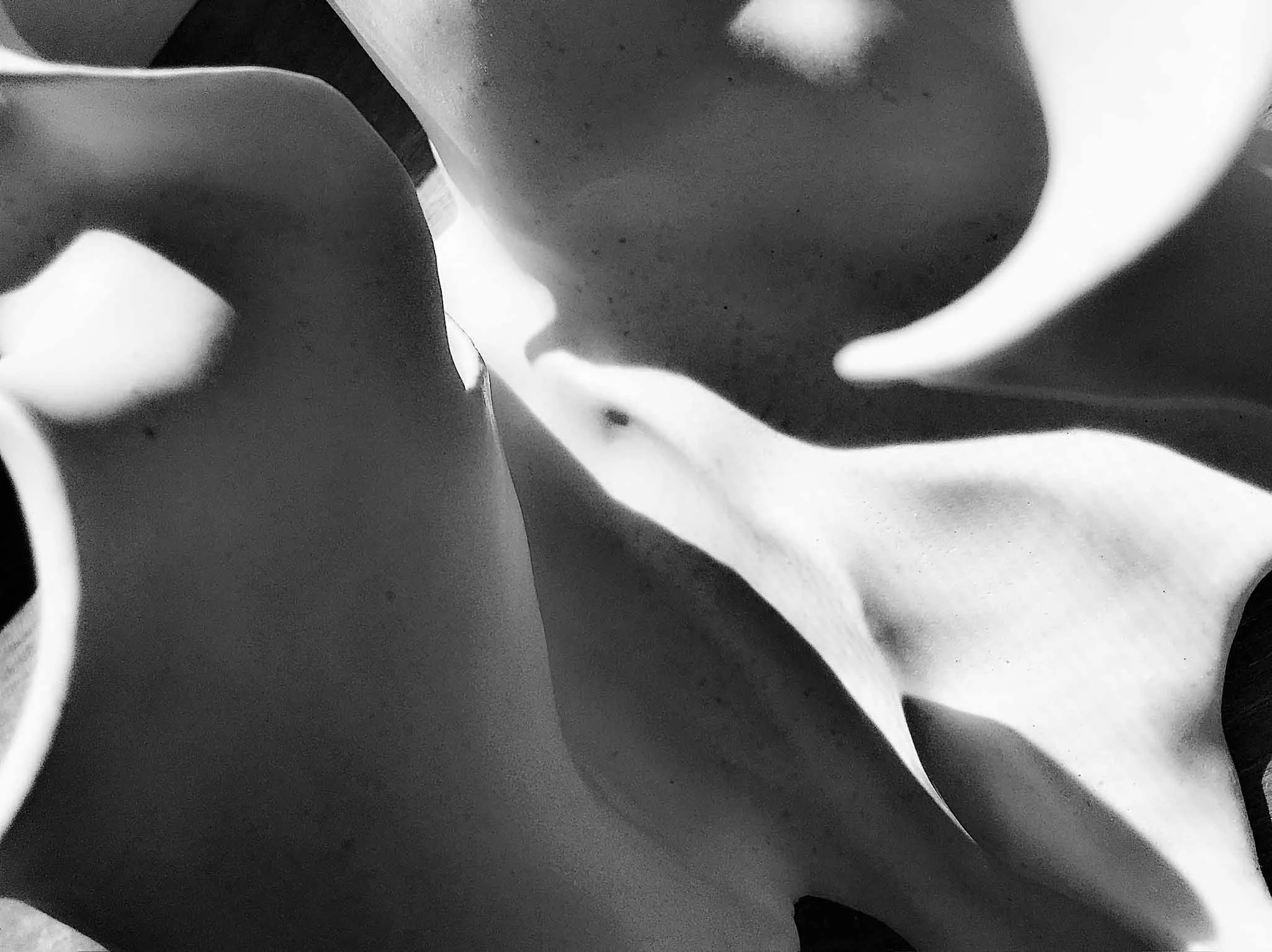 Ceramics-4.jpg