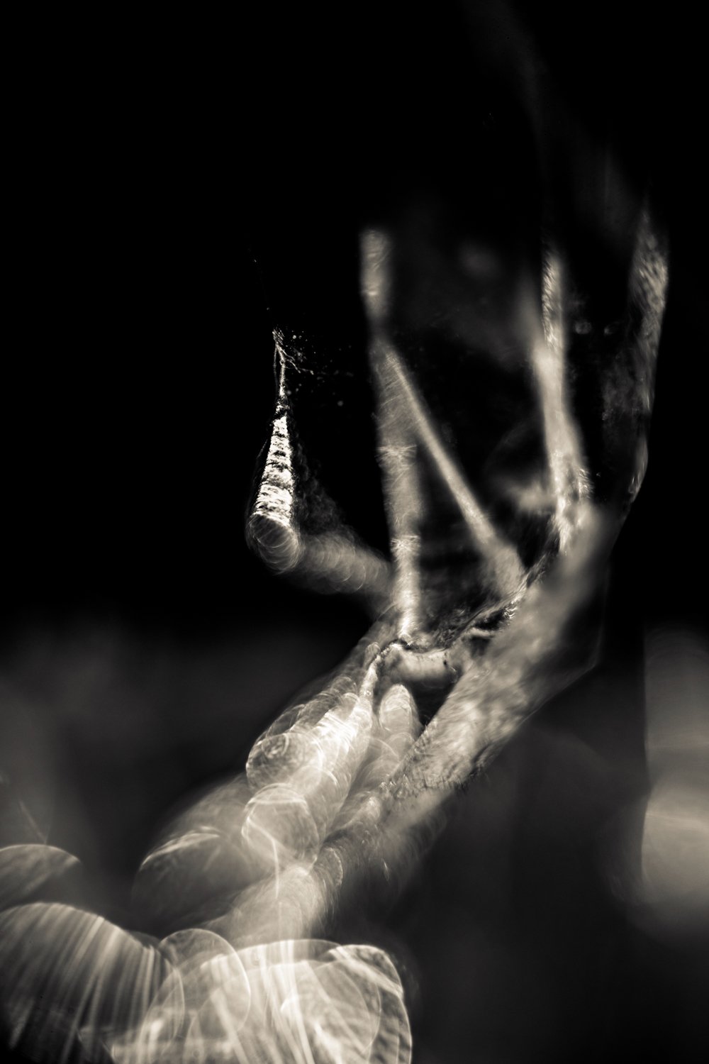 Knoll_J_Thesis_Project_2026_3.jpg