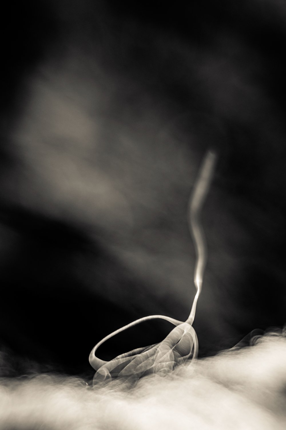 Knoll_J_Thesis_Project_2026_4.jpg
