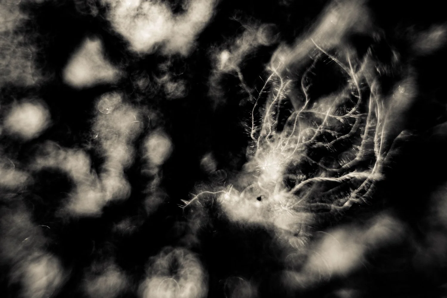 Knoll_J_Thesis_Project_2026_7.jpg