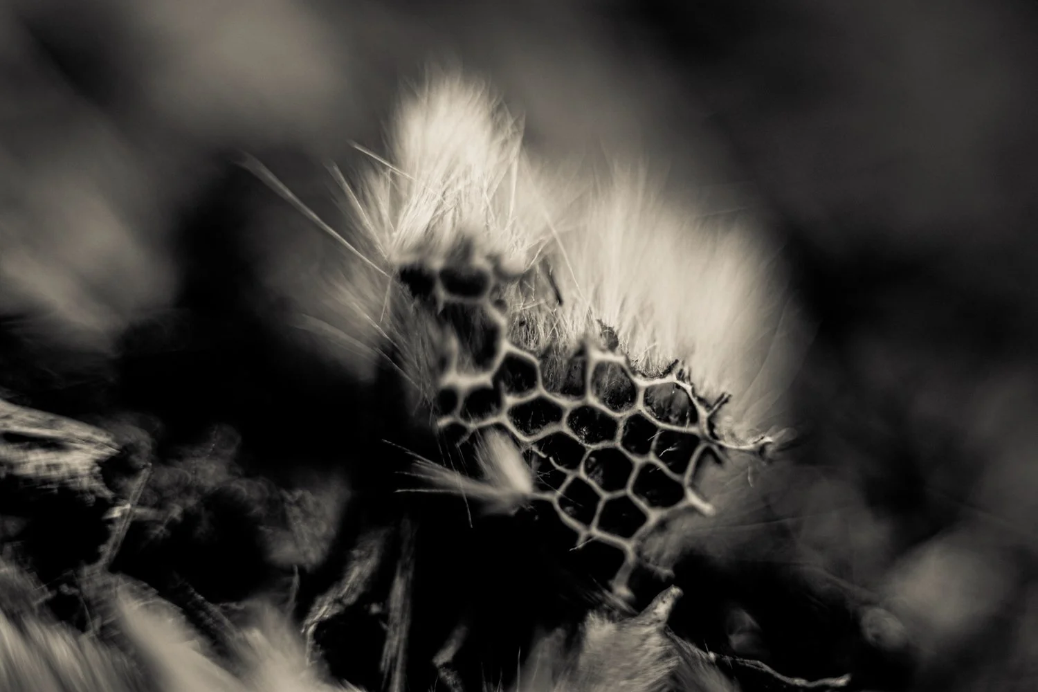 Knoll_J_Thesis_Project_2026_8.jpg