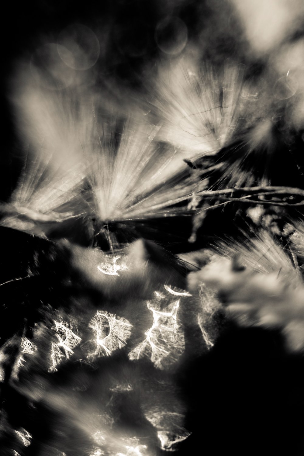 Knoll_J_Thesis_Project_2026_9.jpg