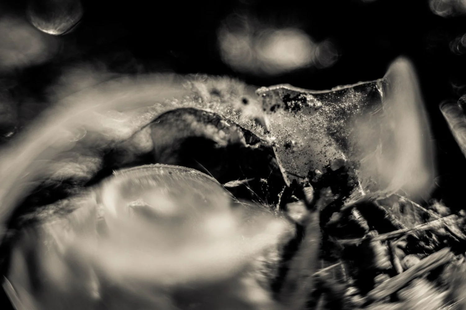 Knoll_J_Thesis_Project_2026_14.jpg