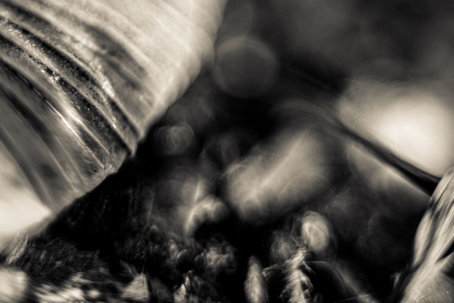 Knoll_J_Thesis_Project_2026_15.jpg