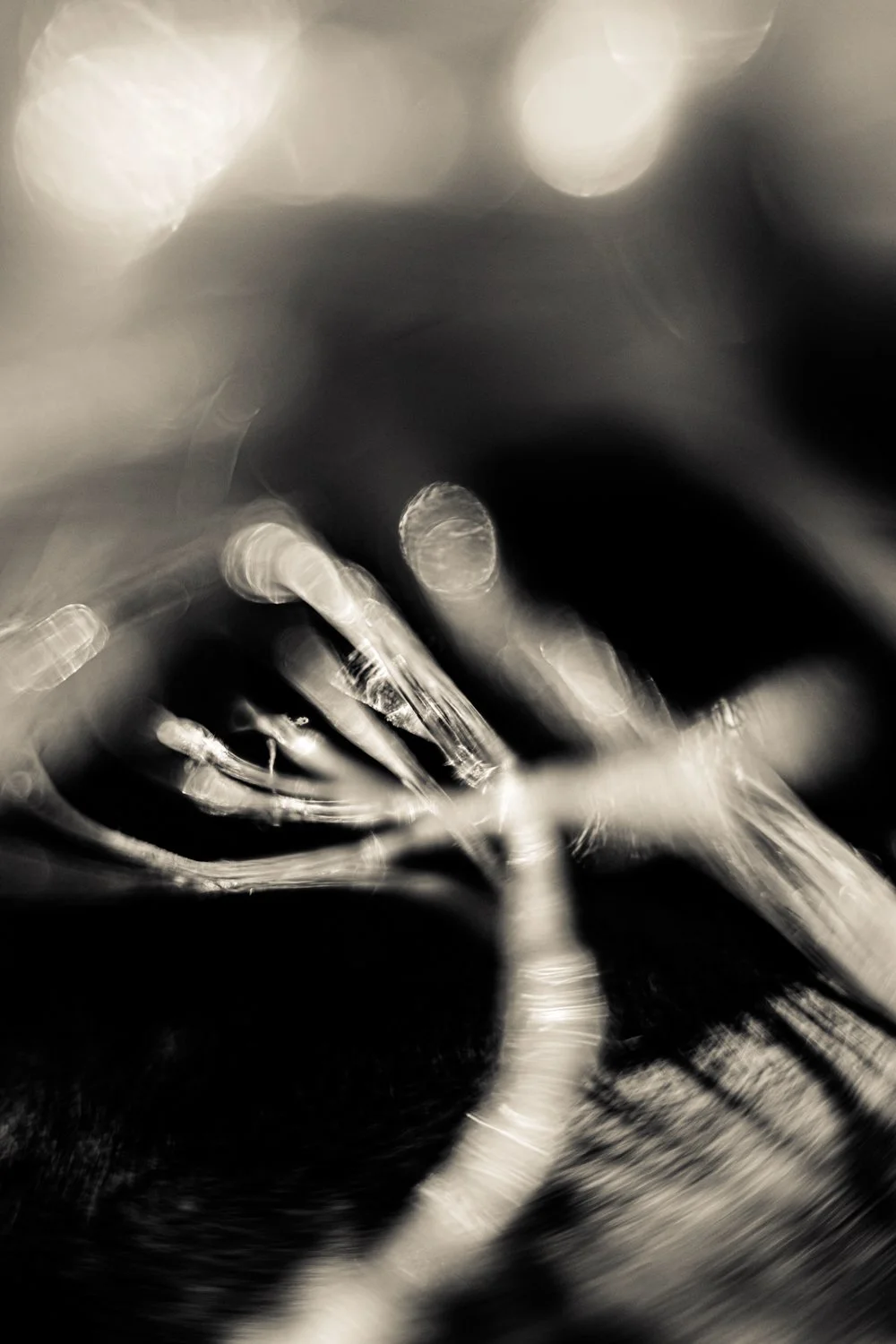 Knoll_J_Thesis_Project_2026_16.jpg