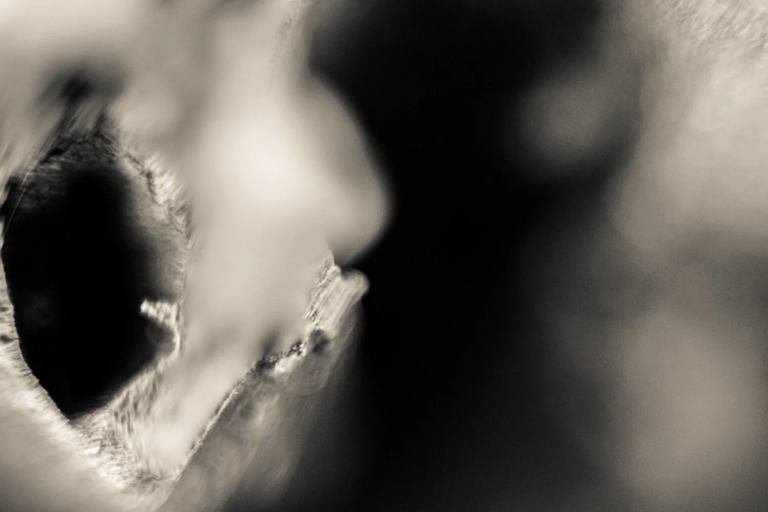 Knoll_J_Thesis_Project_2026_18.jpg