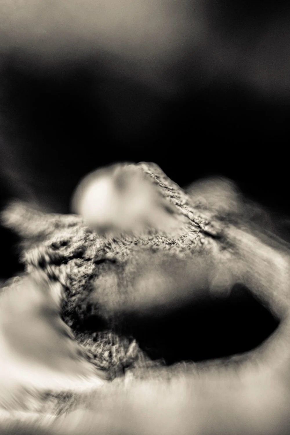 Knoll_J_Thesis_Project_2026_19.jpg