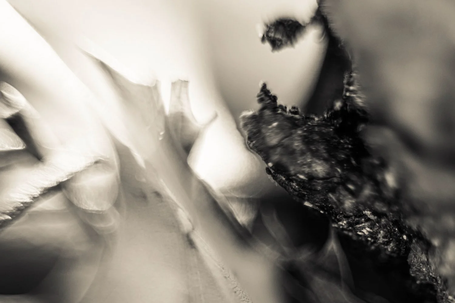 Knoll_J_Thesis_Project_2026_20.jpg
