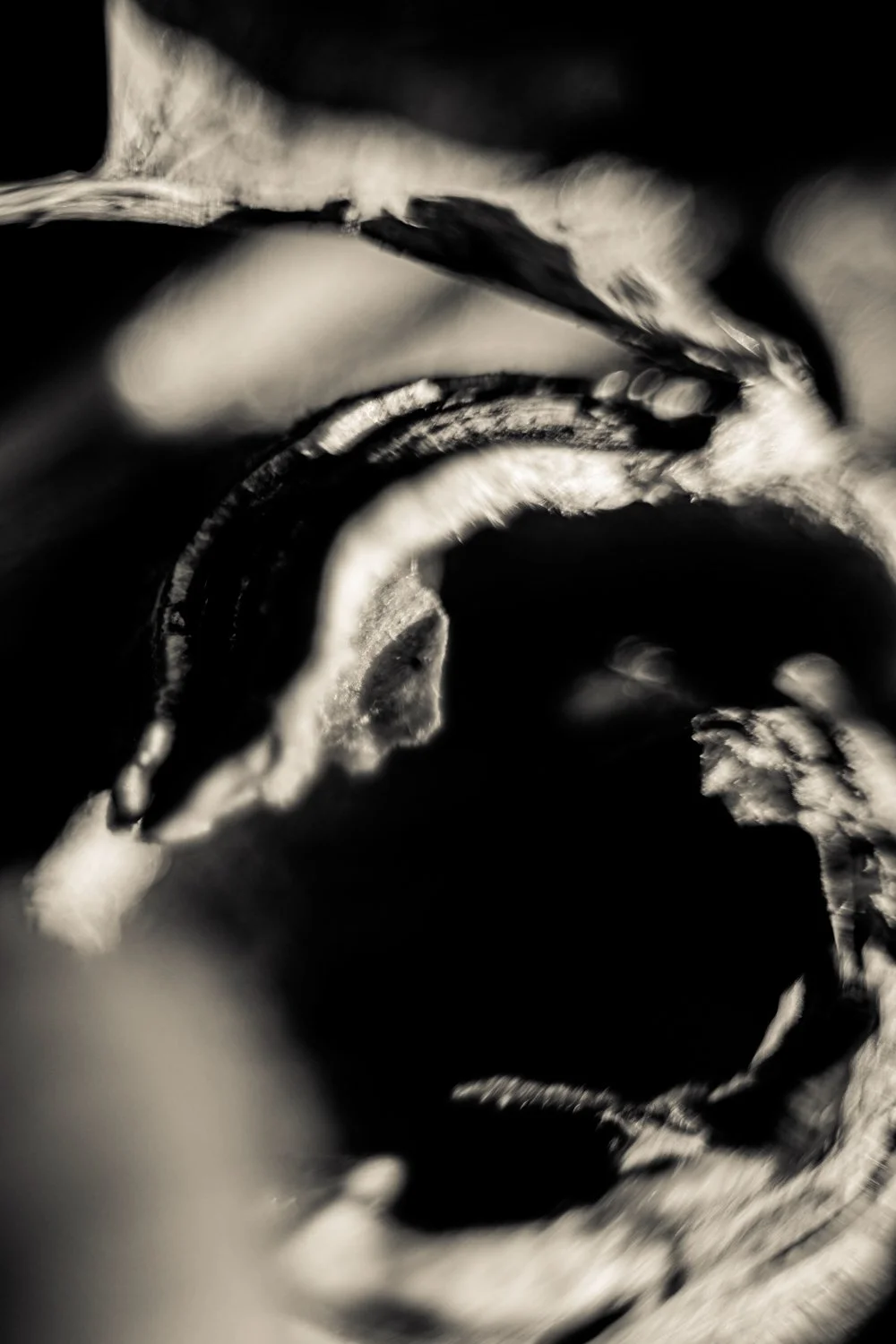 Knoll_J_Thesis_Project_2026_21.jpg