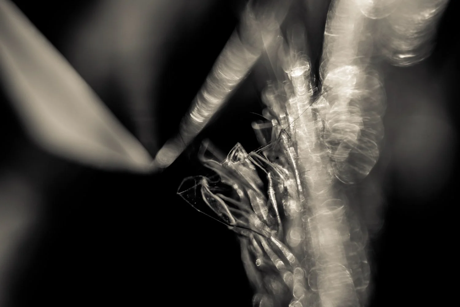 Knoll_J_Thesis_Project_2026_23.jpg